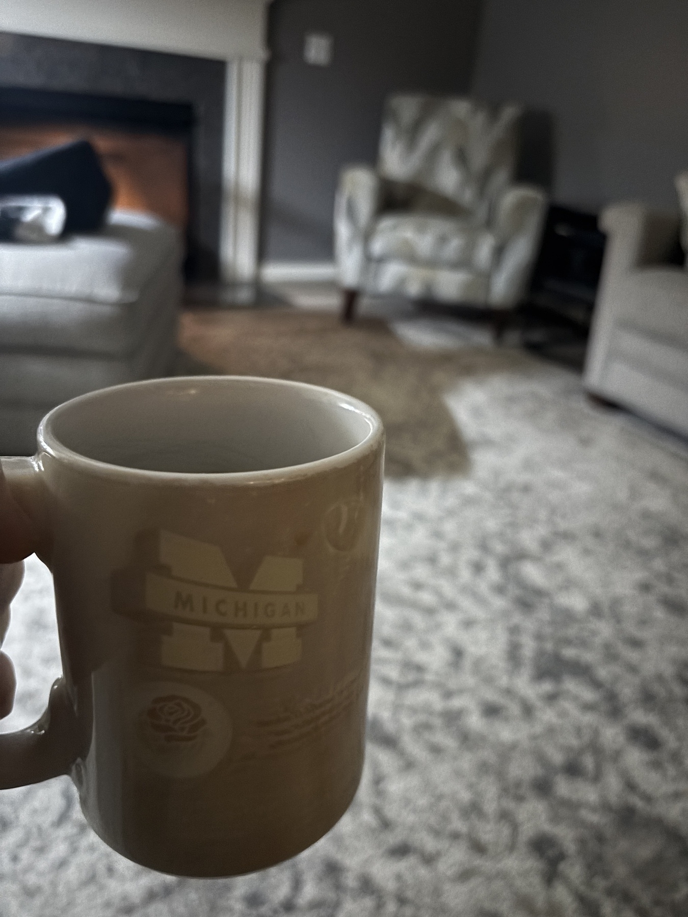 A hand holds a "Michigan" mug in a cozy living room with plush furniture and a fireplace in the background.