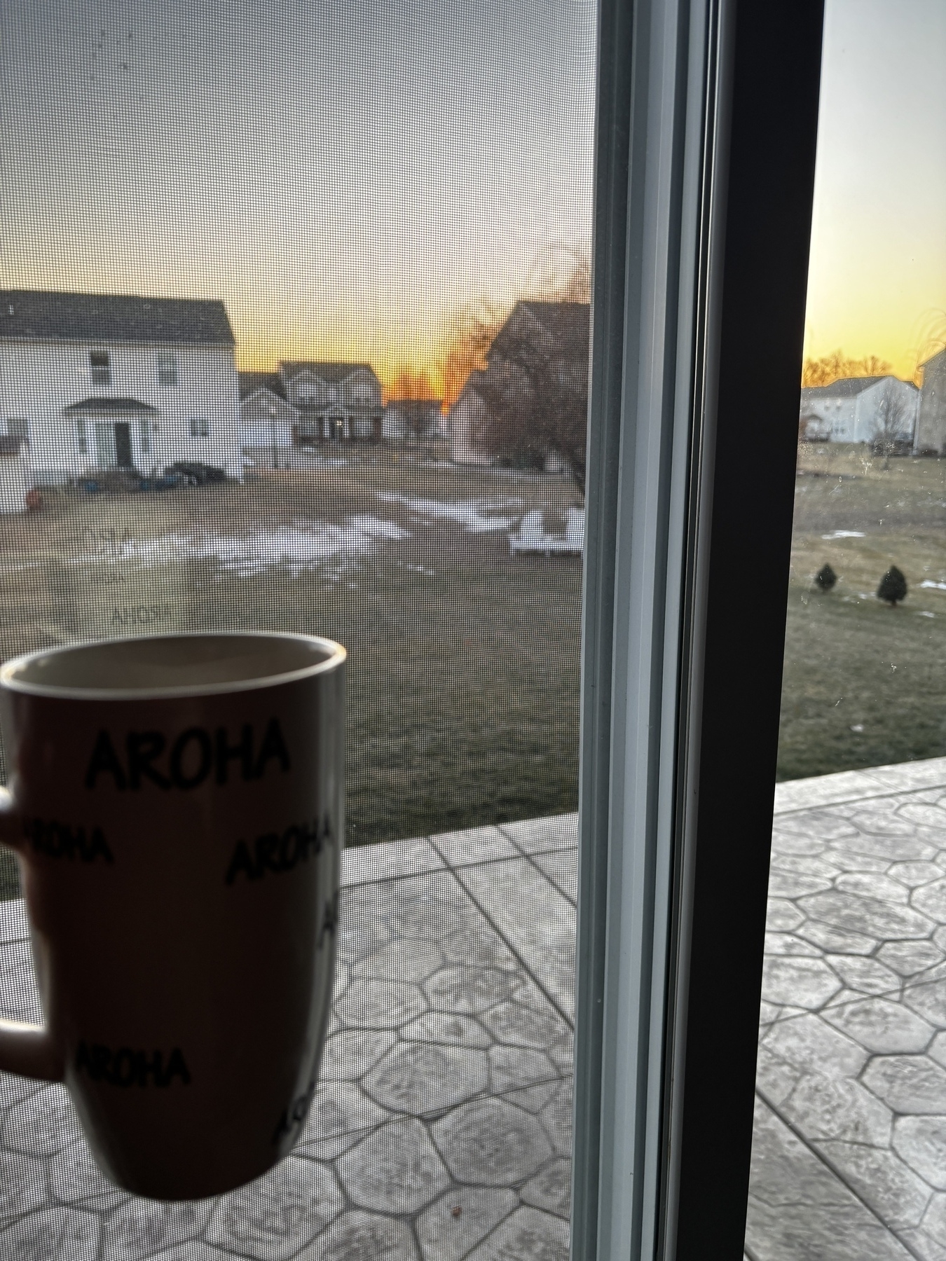 A mug labeled "AROHA" is held up in front of a window, overlooking a suburban backyard with a sunrise.