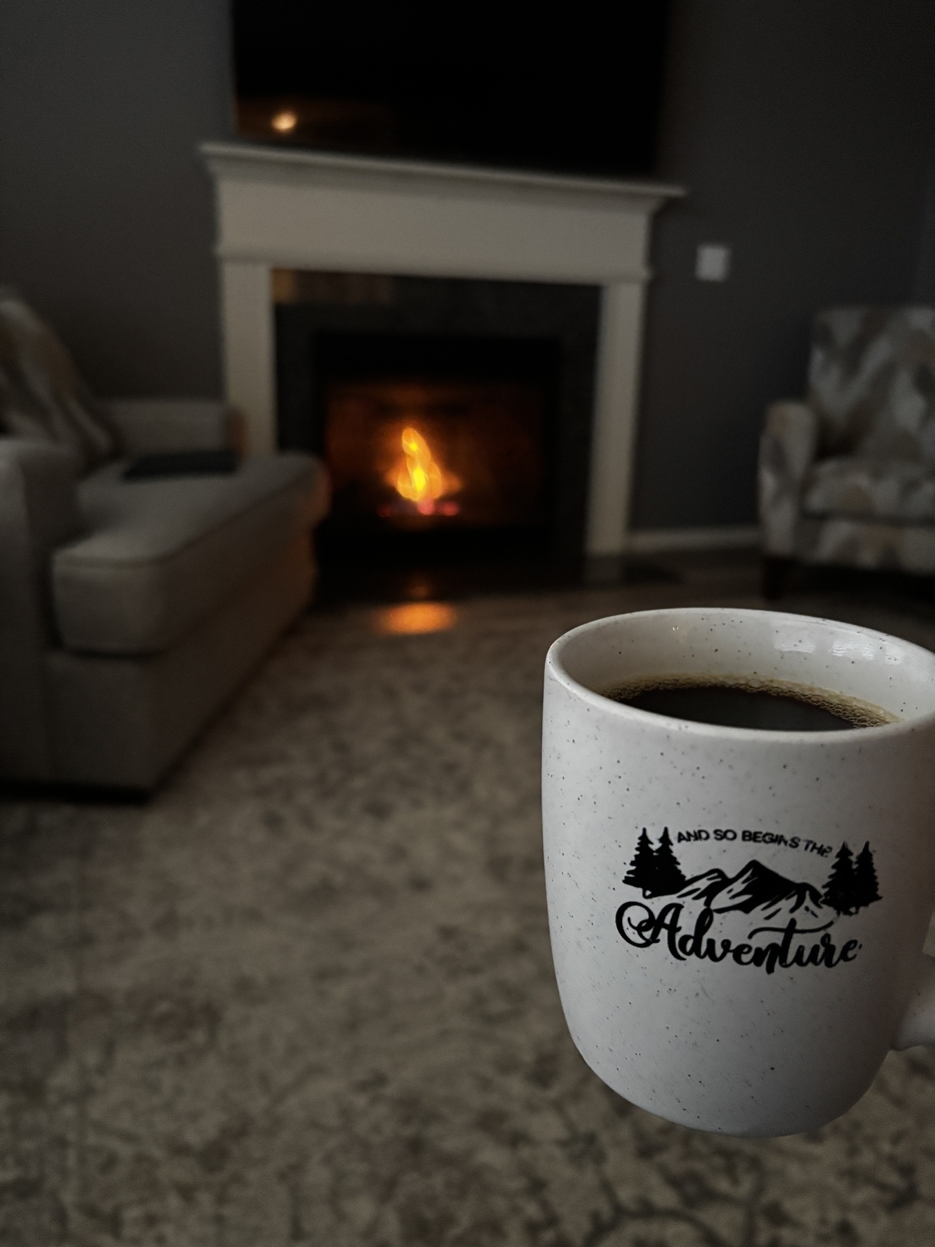 A cozy living room setting features a lit fireplace, a comfortable sofa, and a hand holding a mug of coffee with the words "And So Begins the Adventure."