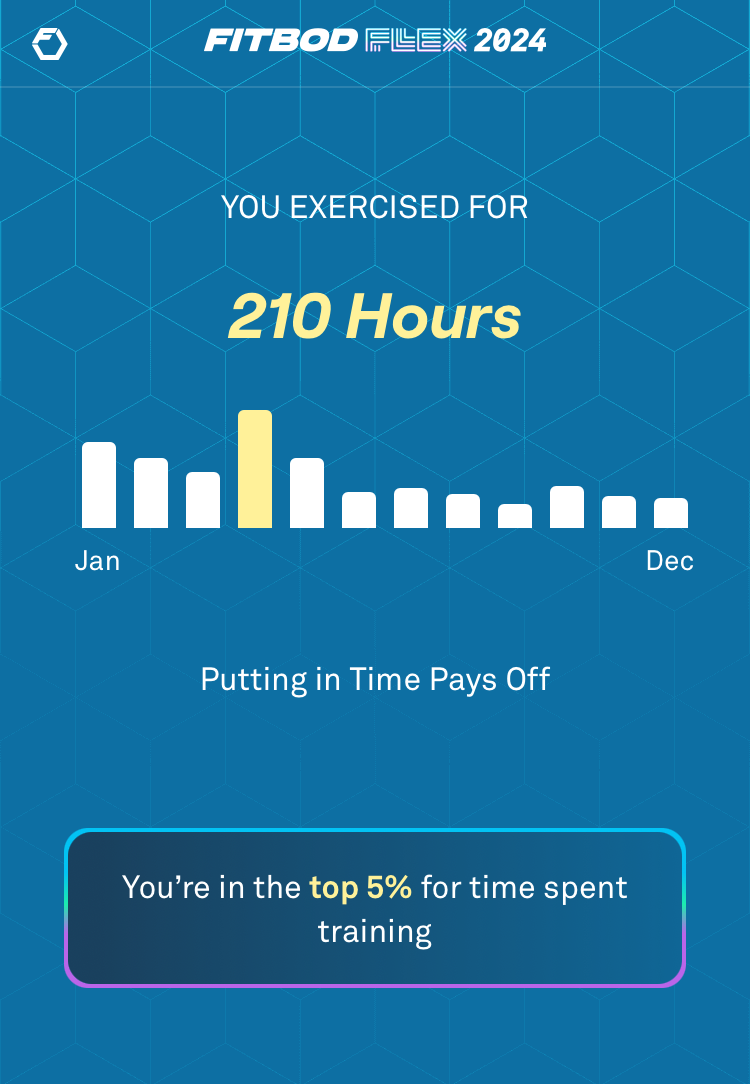 A fitness tracking summary shows 210 hours of exercise in 2024, highlighting a milestone of being in the top 5% for time spent training.