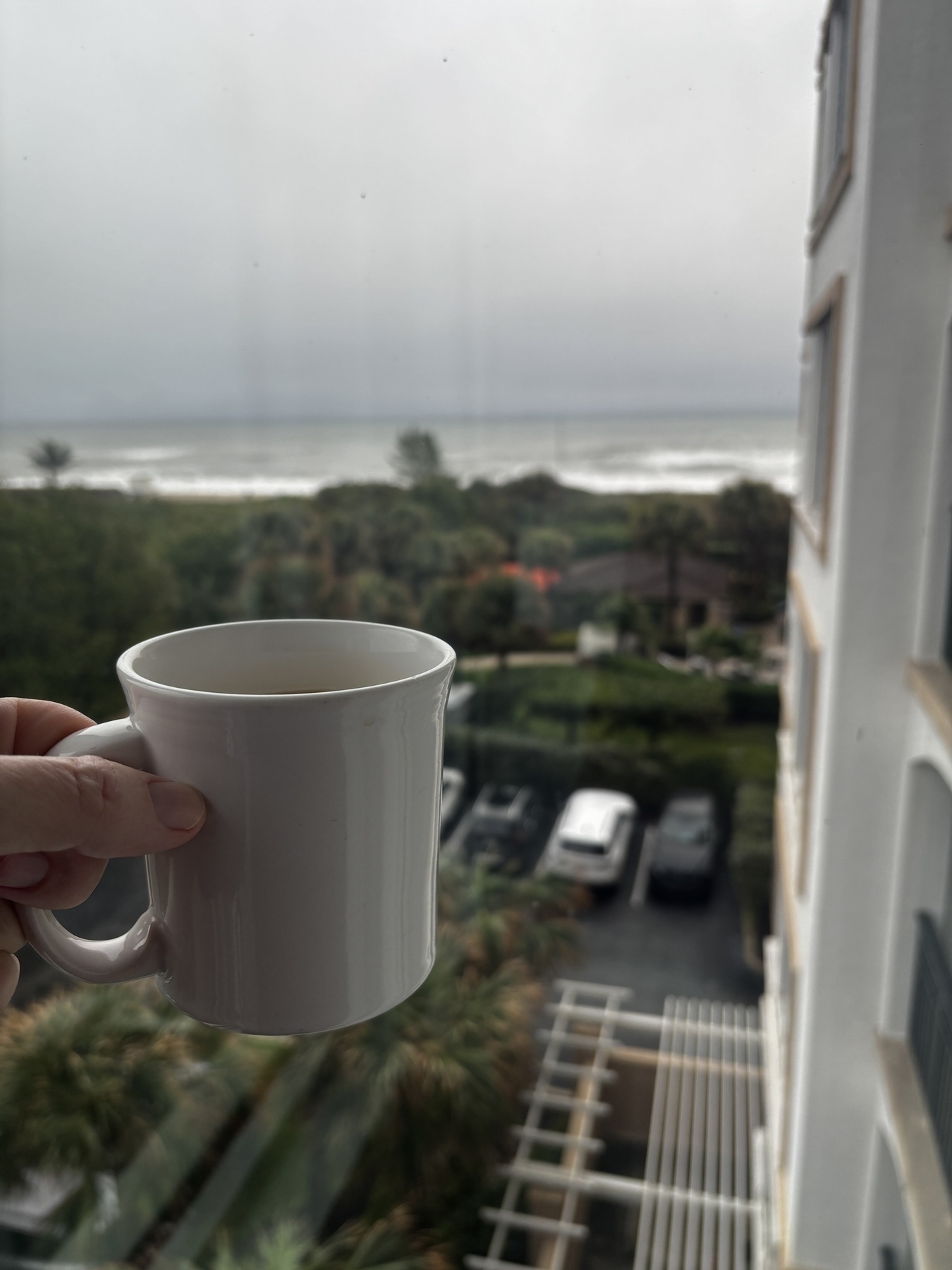 A hand holds a white coffee mug in front of a window with a view of the ocean and parked cars.