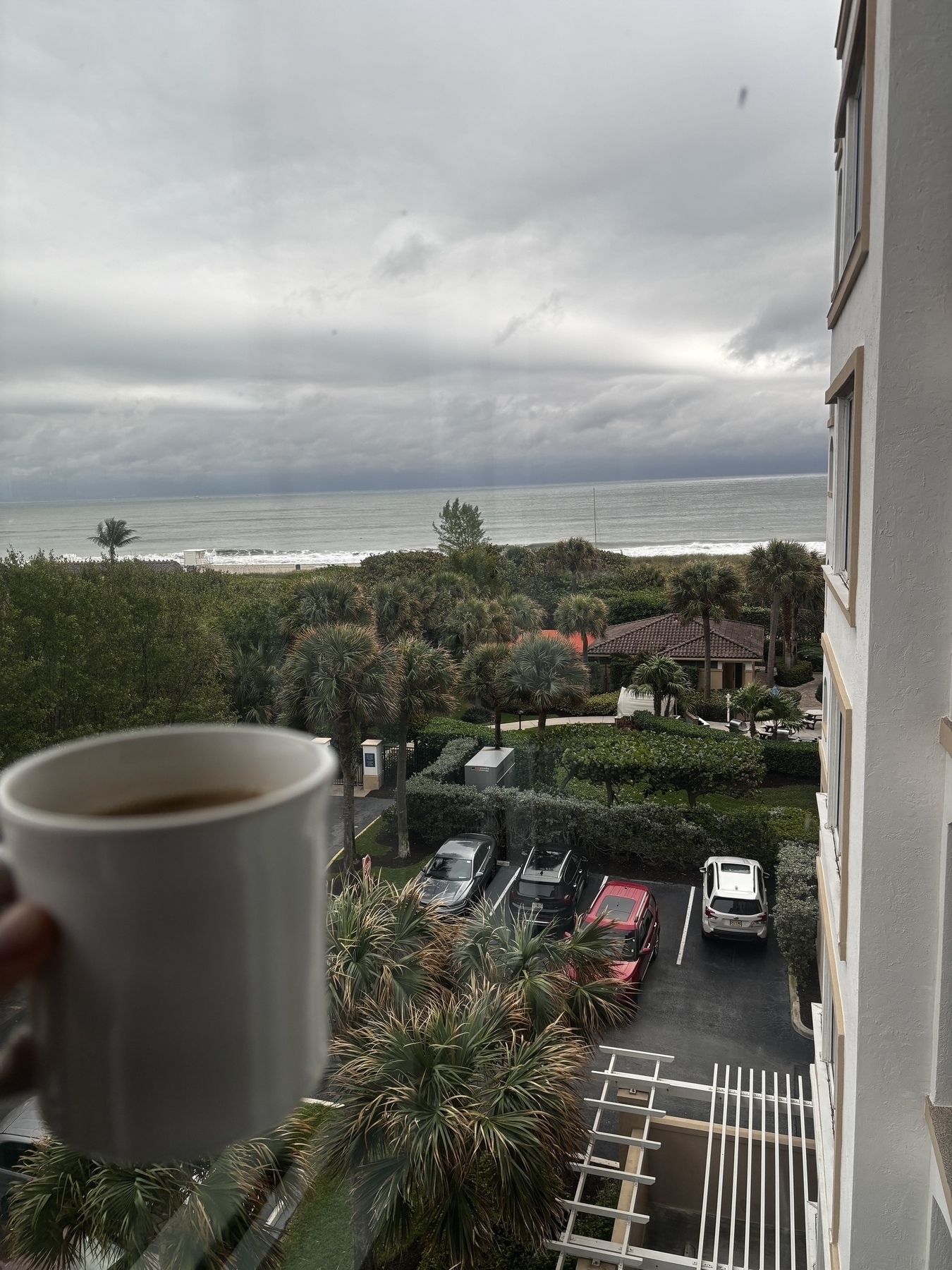 A hand holds a coffee mug indoors, overlooking a coastal landscape with parked cars, greenery, and a cloudy sky.