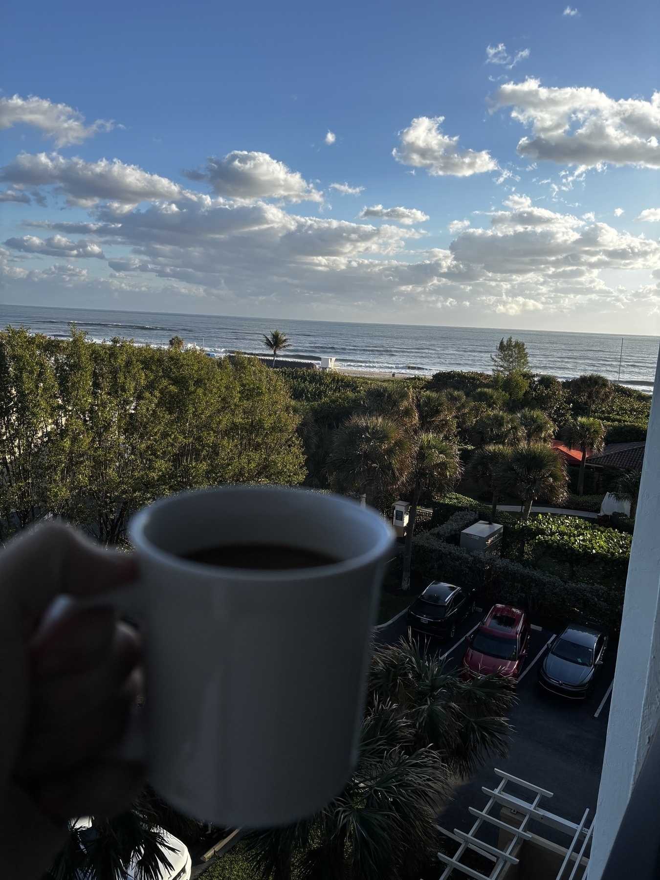 A person holds a cup of coffee in front of a scenic view of the ocean, trees, and a parking area with several cars under a partly cloudy sky.