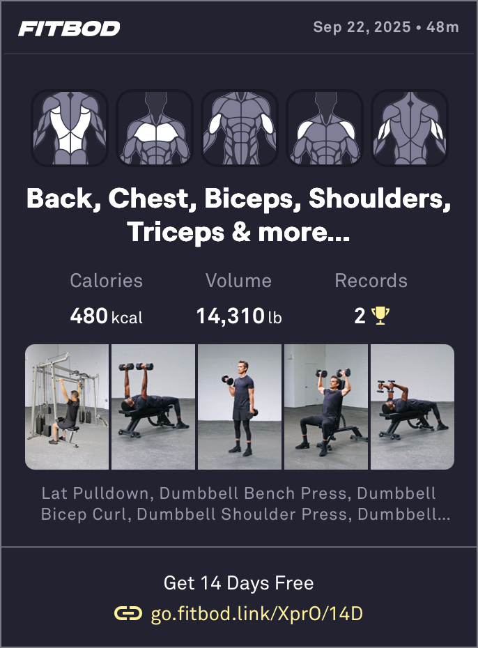 A workout summary of back, chest, biceps, shoulders, and triceps 