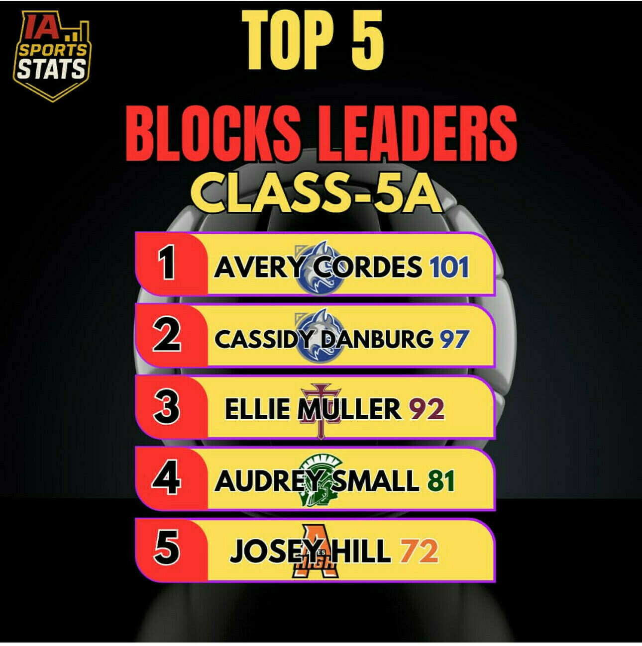 A graphic showing the top 5 stat leaders for blocks going in the next season in Iowa's top class, 5A.  Our precious little angel is fifth with 72 blocks last season