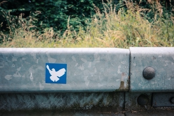 Eine Sticker mit einer weißen Friedenstaube auf blauem Grund, aufgeklebt auf eine Leitplanke. Dahinter Wiese und Sträucher.