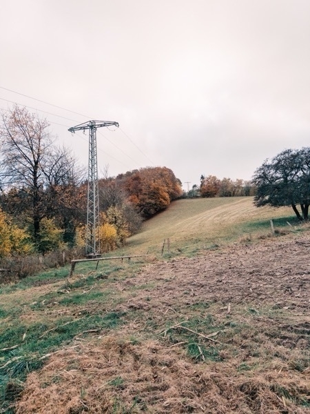 Ein herbstbelaubter Skihang im Sauerland, jedoch ohne Schnee. Am Hang stehen ein Strommast und Zäune.