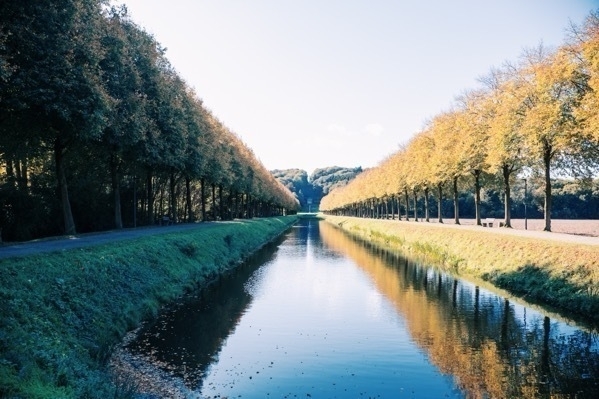 Herbstlicht über einem Wassergraben in Rindern (Kleve).