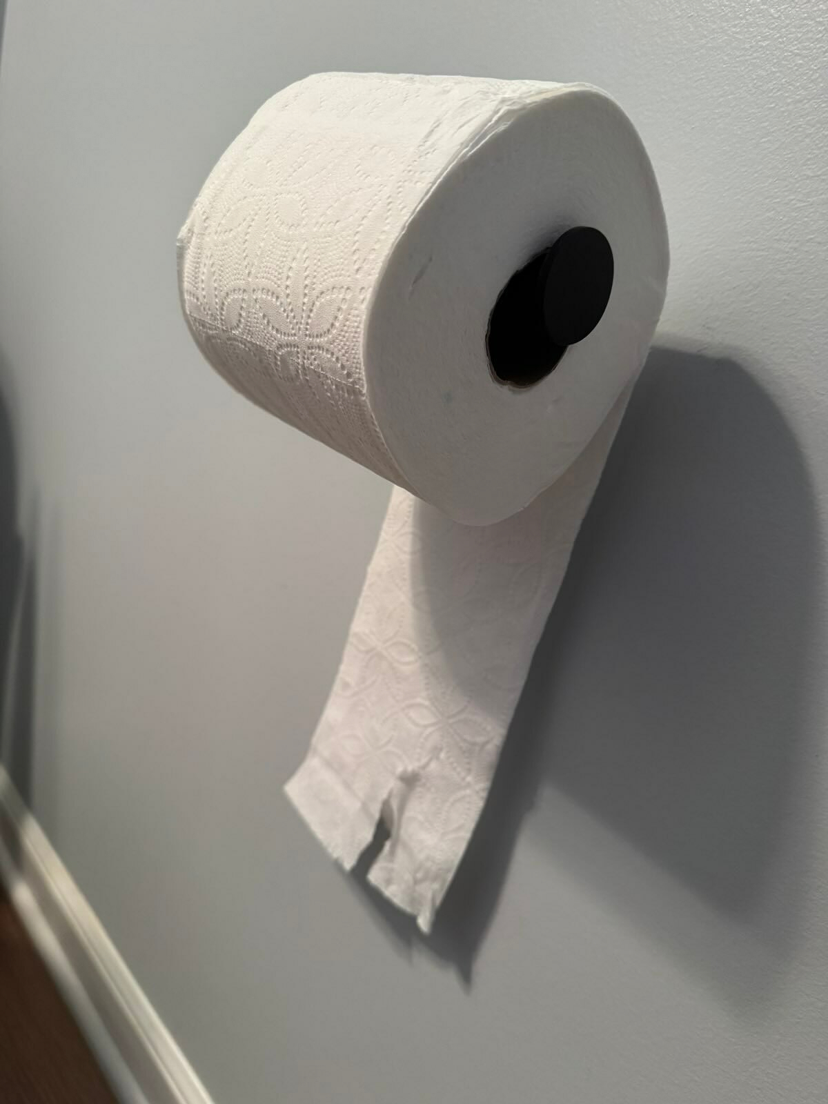 Toilet paper holder with the roll on backwards