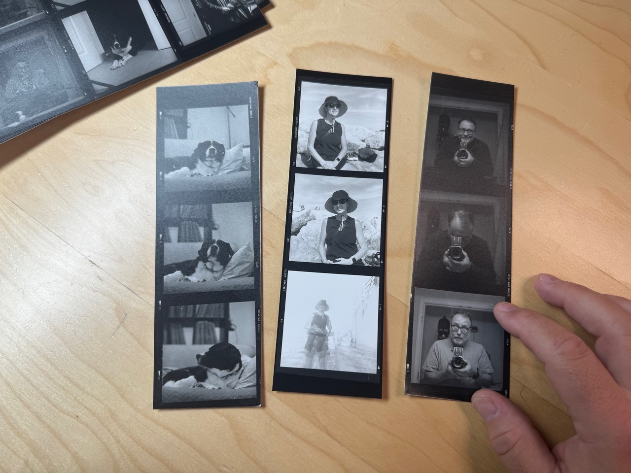 A contact sheet of 120 film cut into three strips.
