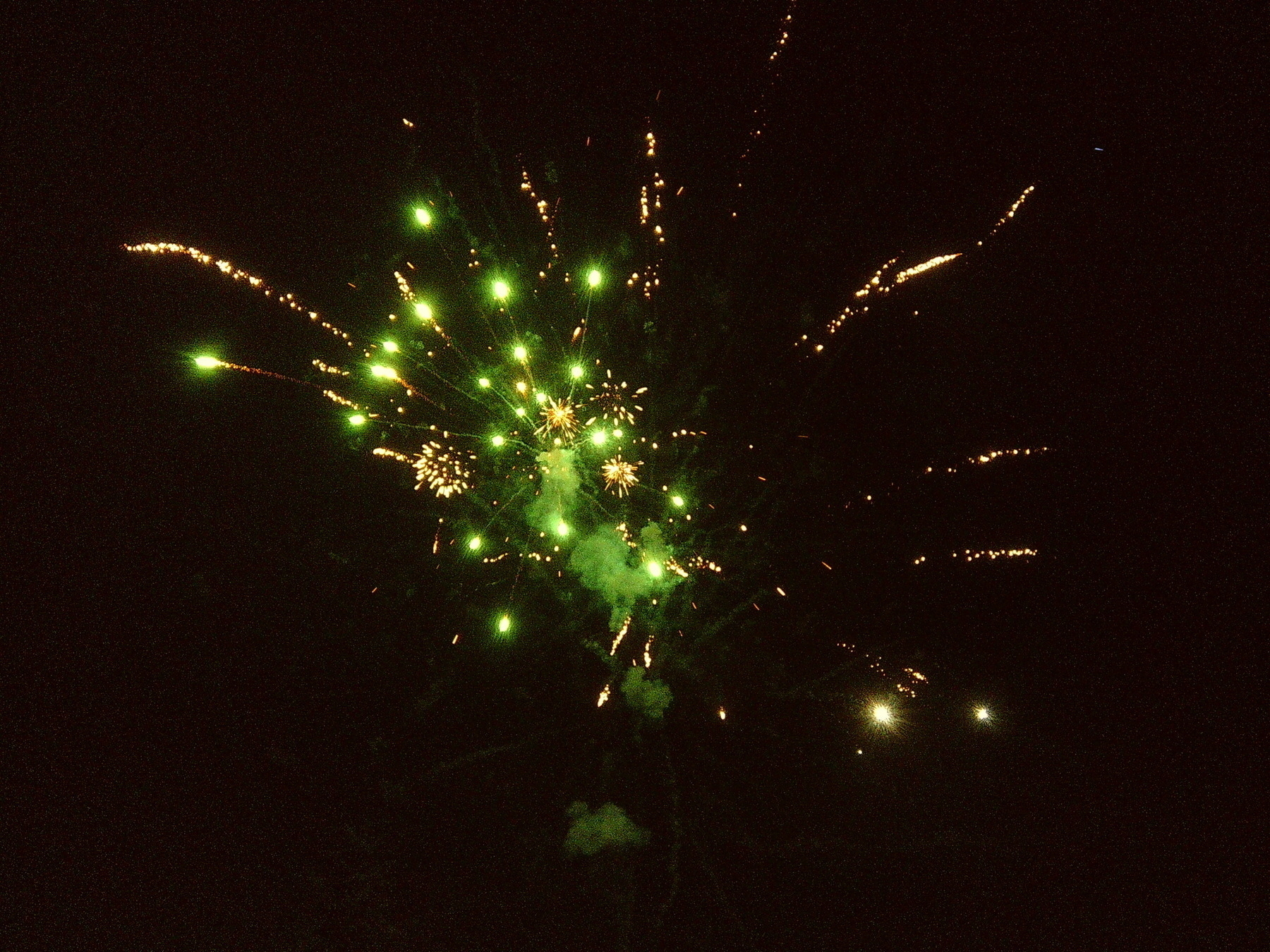 green fireworks against a black sky