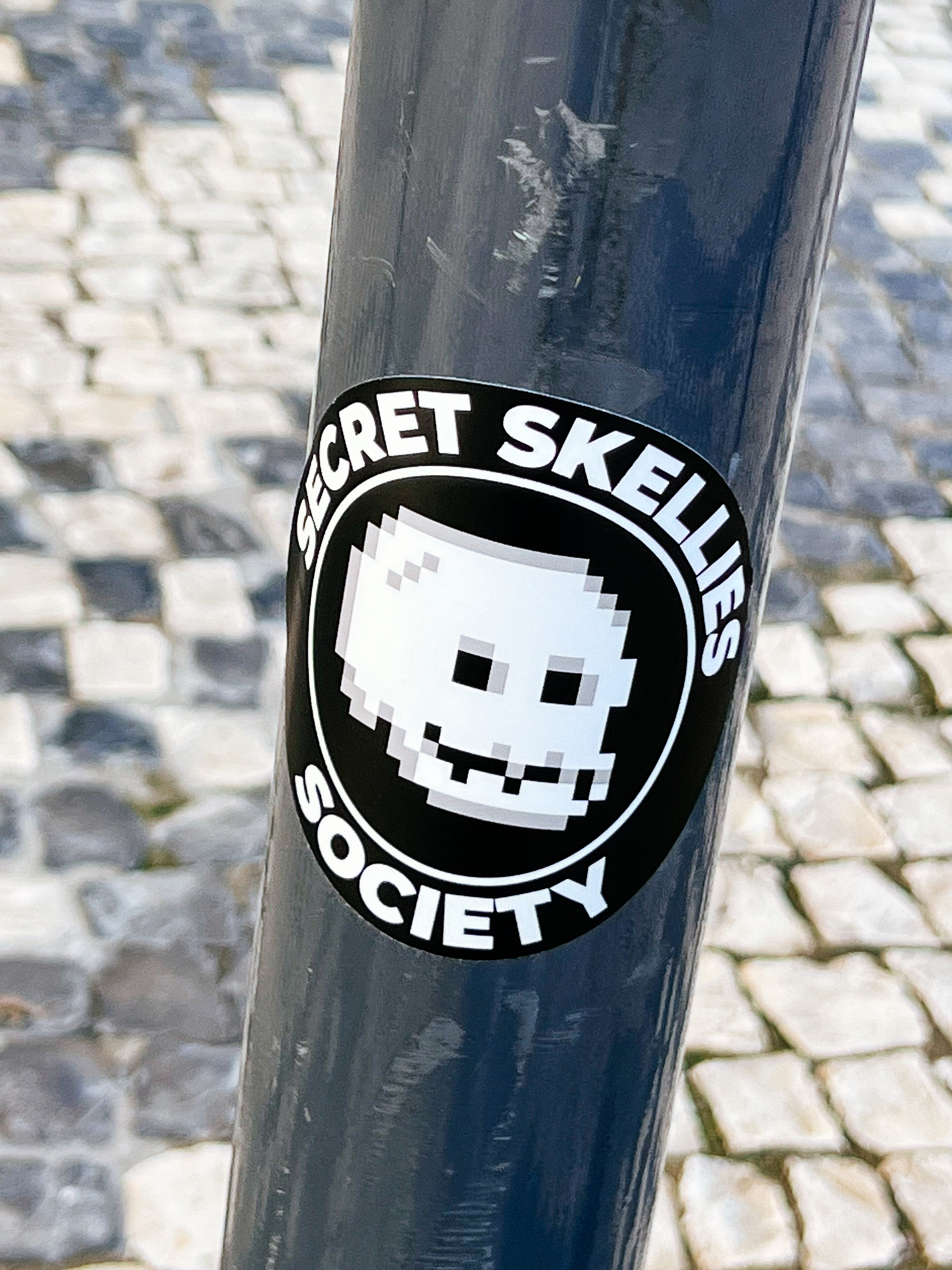 Sticker with the words “secret skellies society” and a pixelated skull. 
