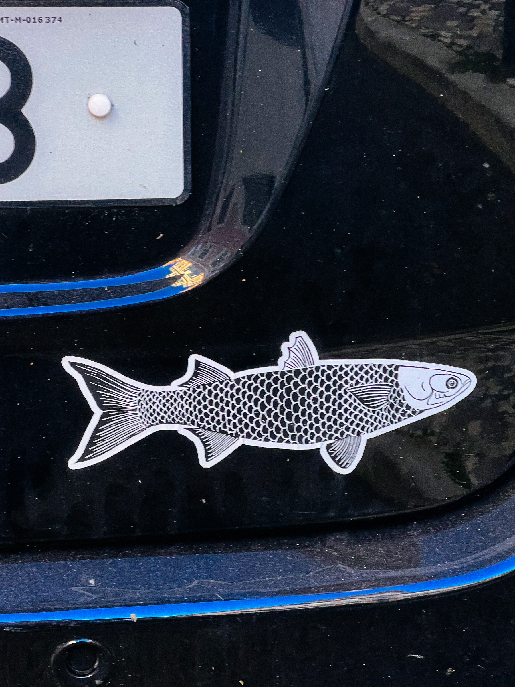 Sticker of a fish. 