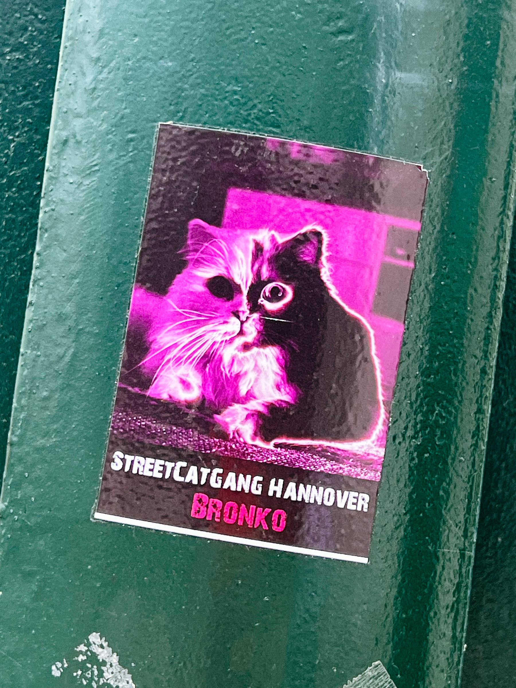 Sticker with a photo of a cat, in purple neon color, with “STREETCATGANG HANNOVER, BRONKO” written on it. 