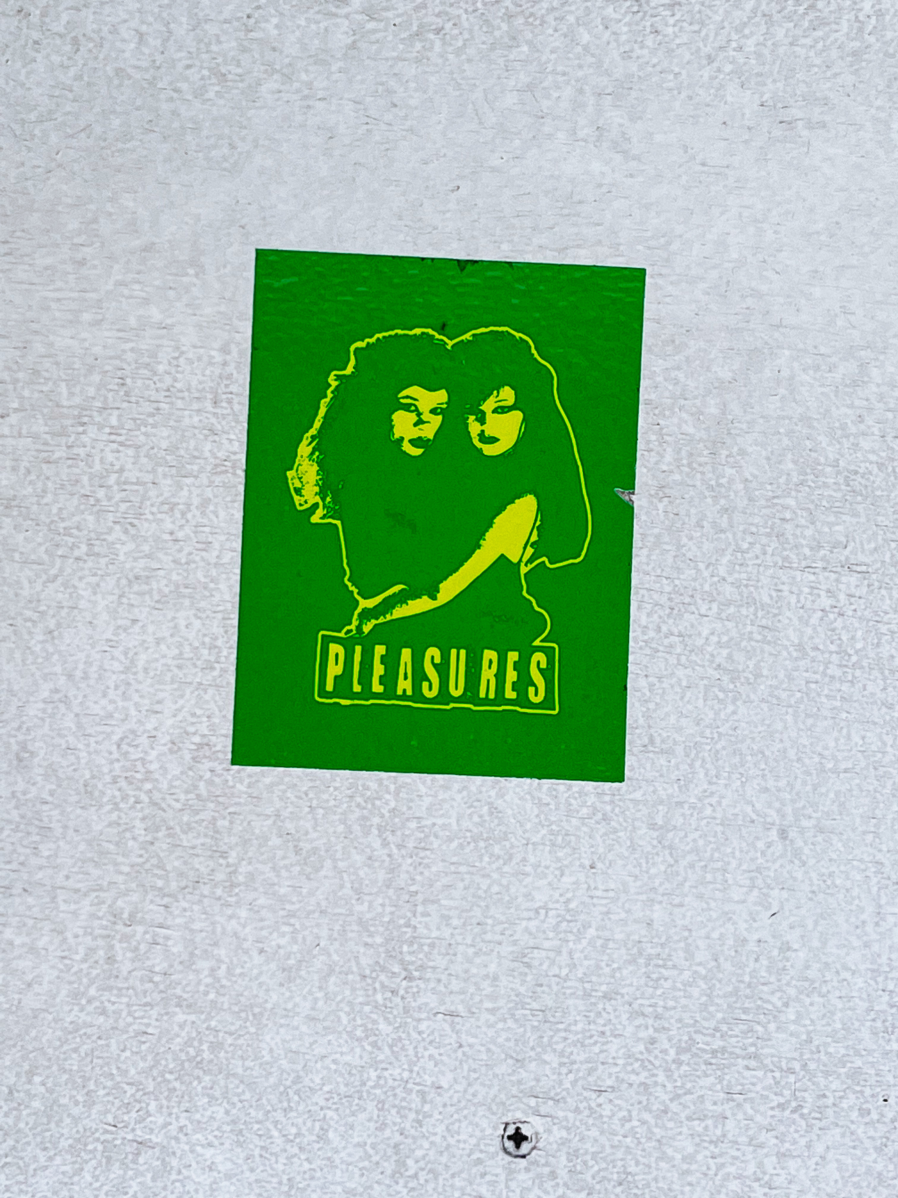 Sticker with two girls holding each other, hairstyles from the 80s, looking at us. The word “pleasures”. 