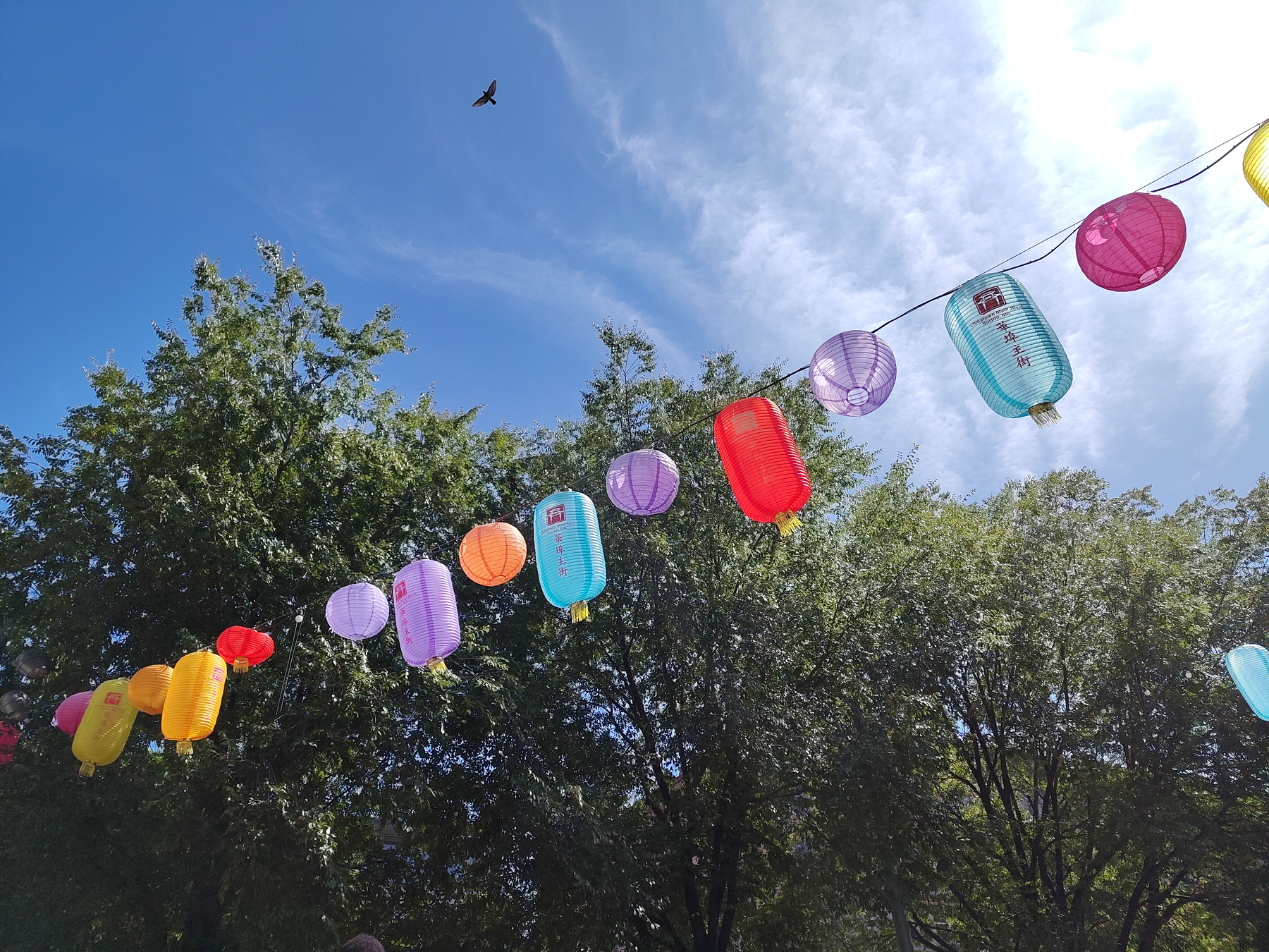 Colorful paper lanterns are strung across a clear blue sky with trees in the background and a bird flying above.