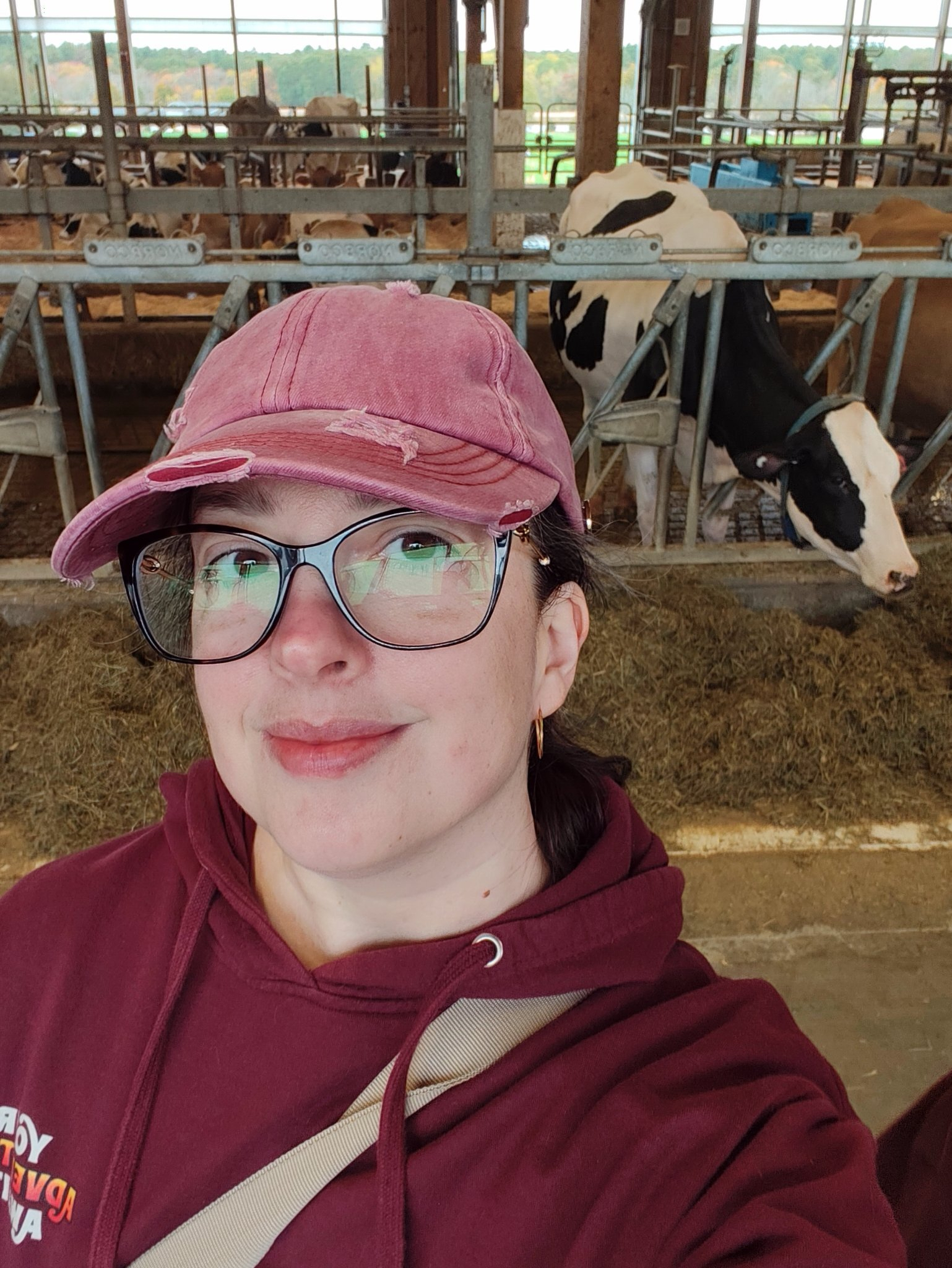 A person wearing glasses and a pink cap takes a selfie inside a barn with cows in the background.