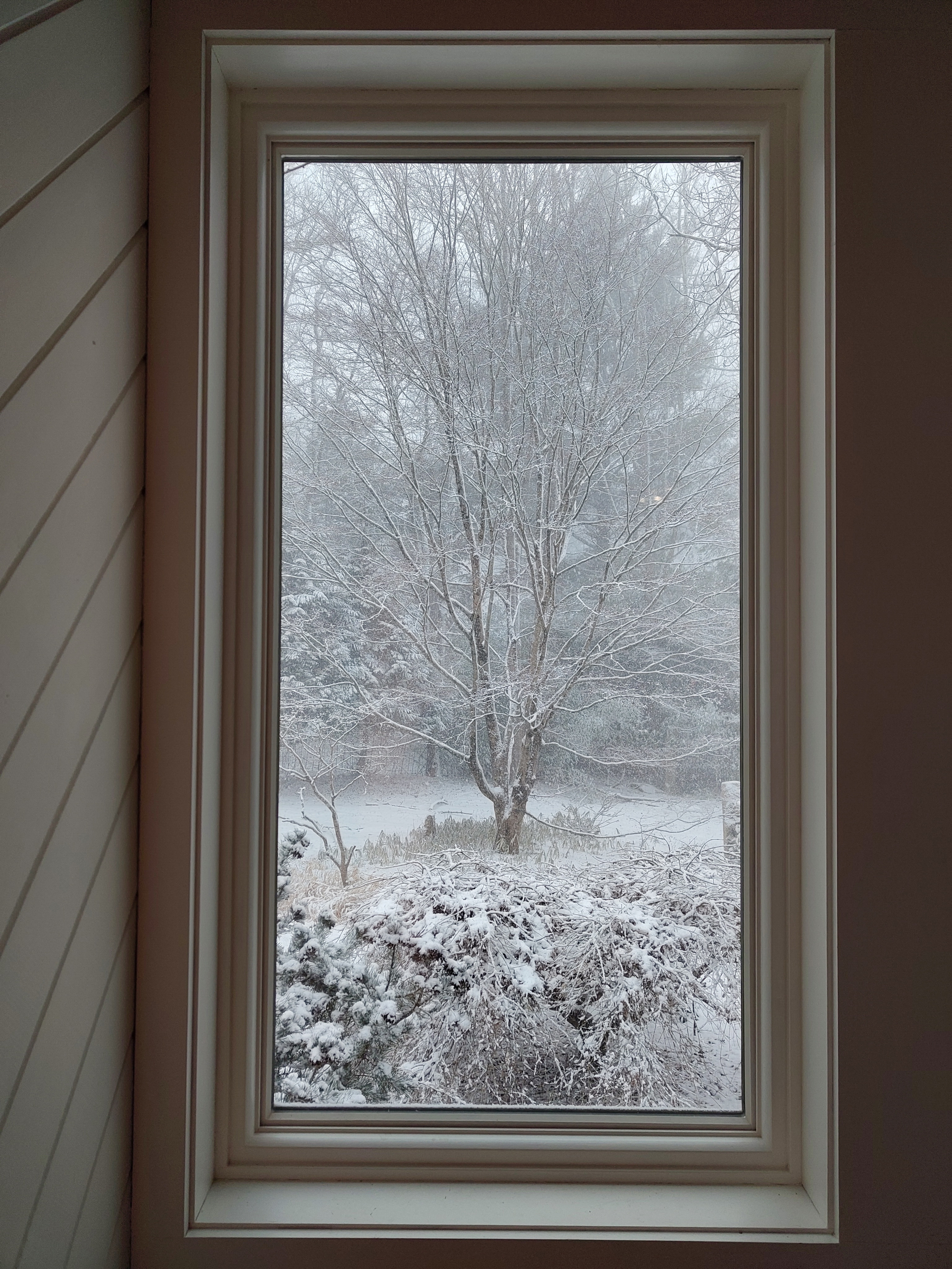 A snow-covered landscape with bare trees is visible through a rectangular window.
