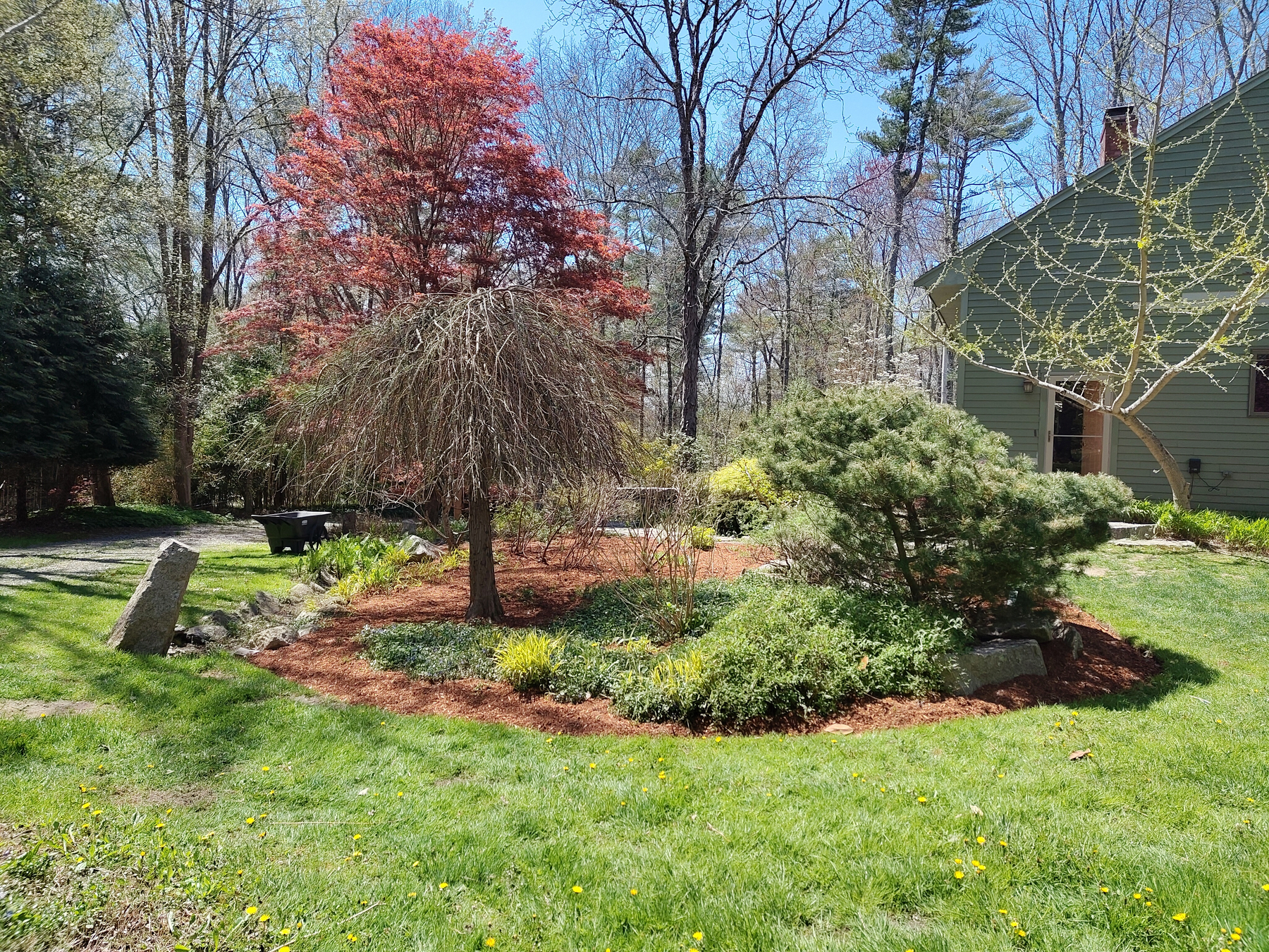 A landscaped garden features a variety of trees and shrubs, with a red-leafed tree as the focal point, surrounded by rocks and a grassy area.