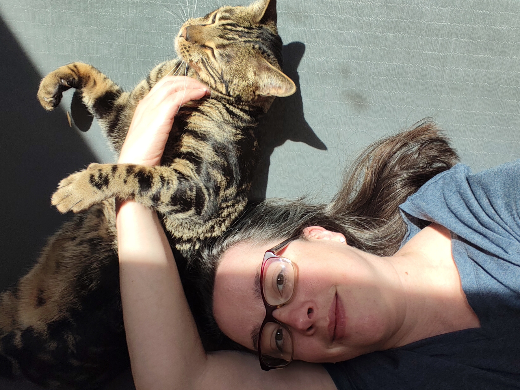 A person wearing glasses is lying down with a content tabby cat stretching across their arm in a patch of sunlight.