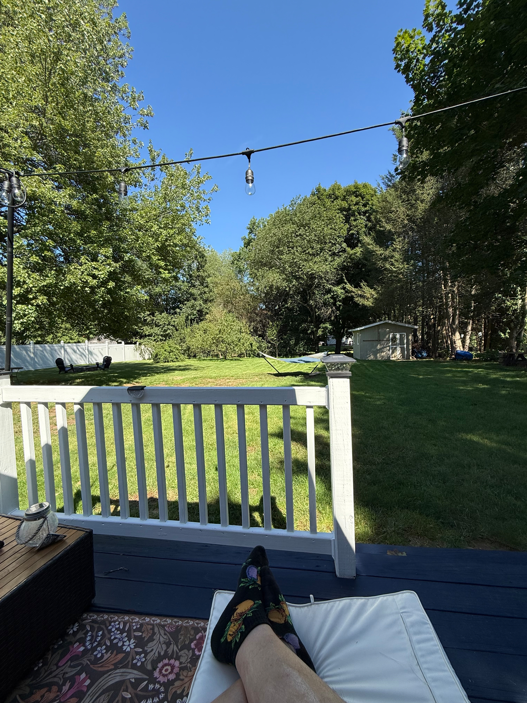 View of an American backyard 