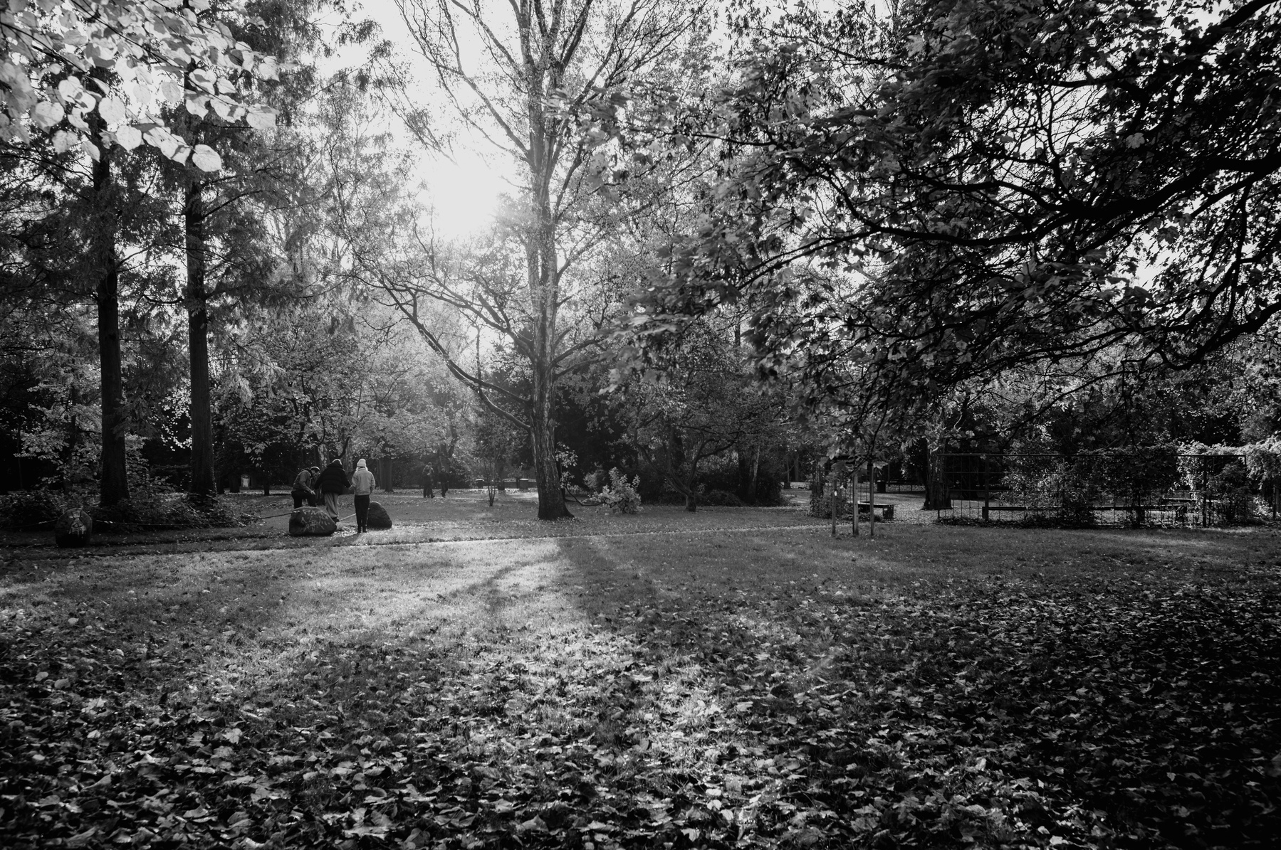 Black and white picture of people in the park