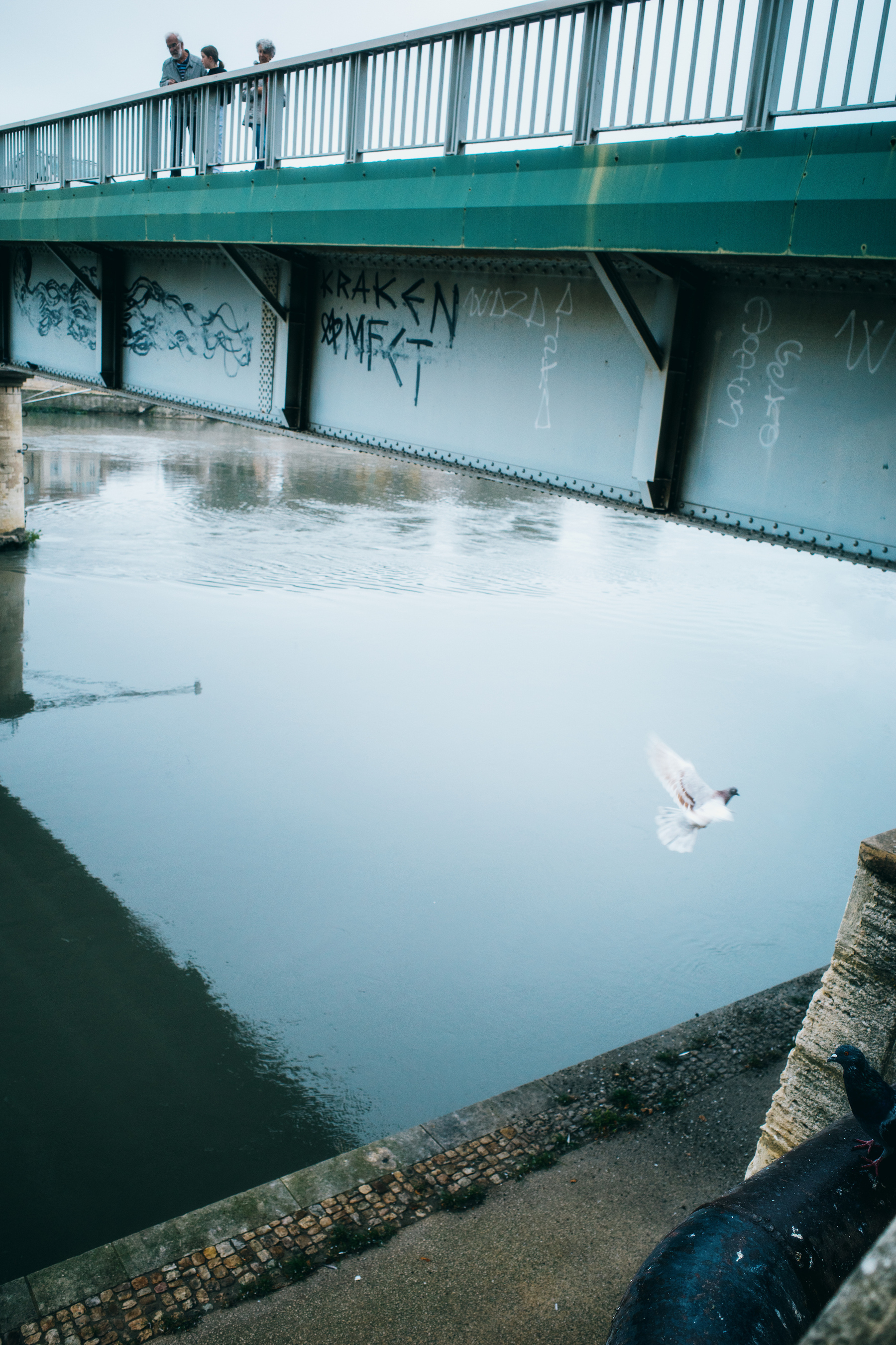 The image shows a bridge with graffiti, three people standing on top looking over the edge, and a pigeon flying over calm water below.