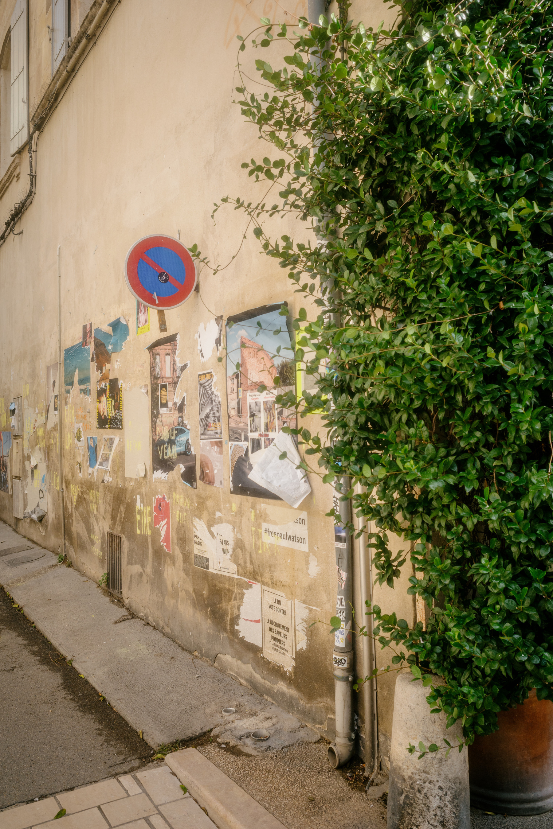 A narrow alley features a worn plaster wall covered with faded posters and graffiti beneath a no-parking sign, with green vines growing from a planter on the right.