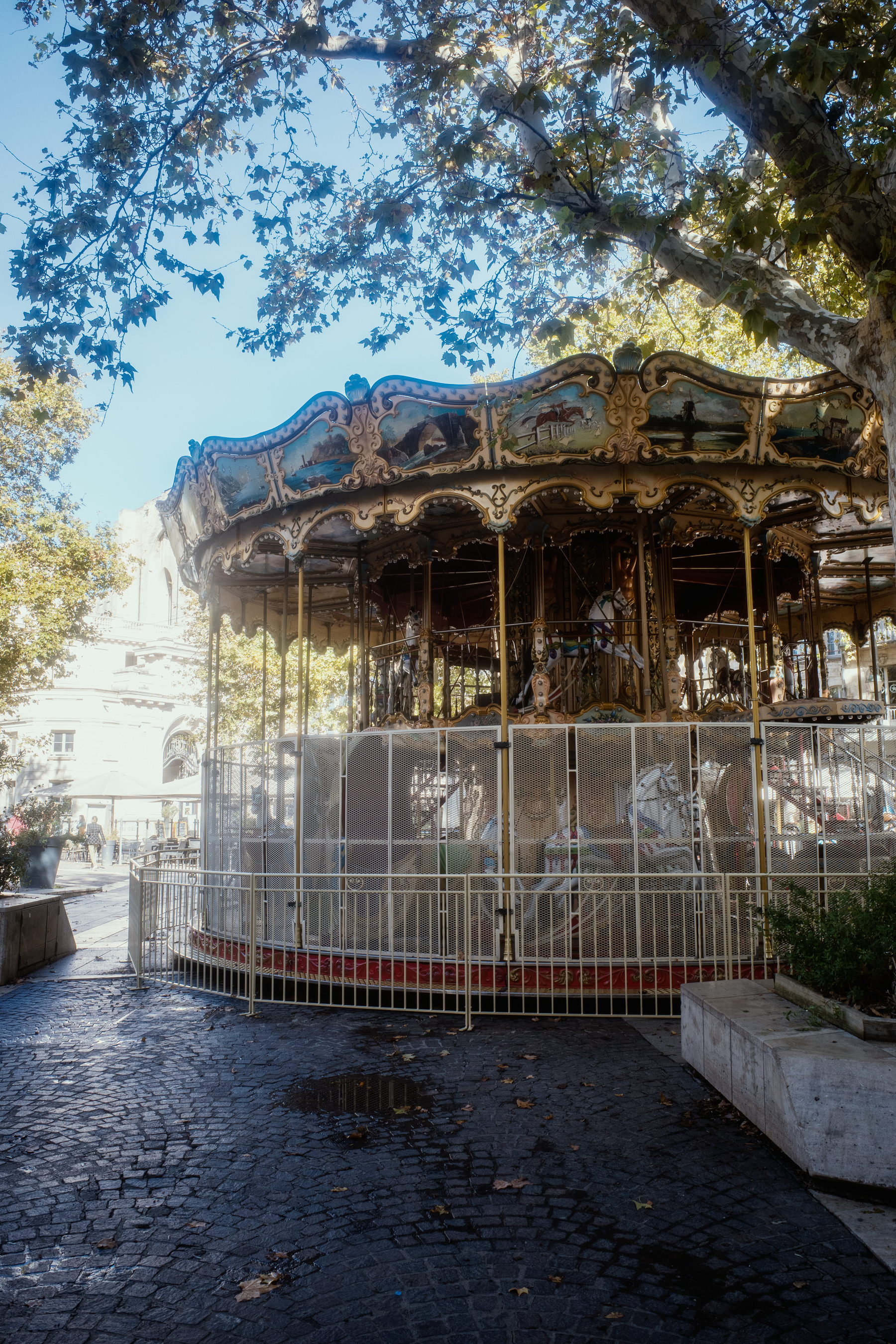 The image shows a vintage carousel, surrounded by a protective fence, under the shade of large trees with sunlight filtering through the leaves.