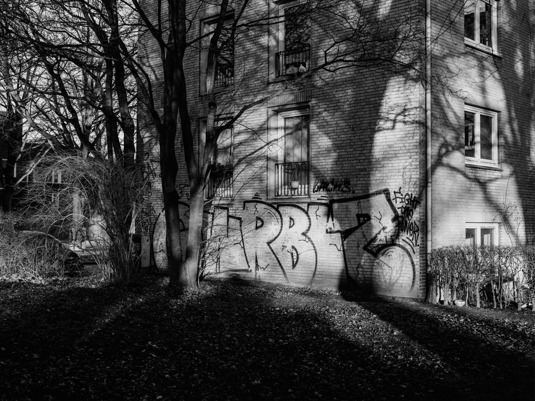 The black-and-white photograph depicts a brick residential building with graffiti on its lower walls, surrounded by leafless trees casting intricate shadows across the facade.