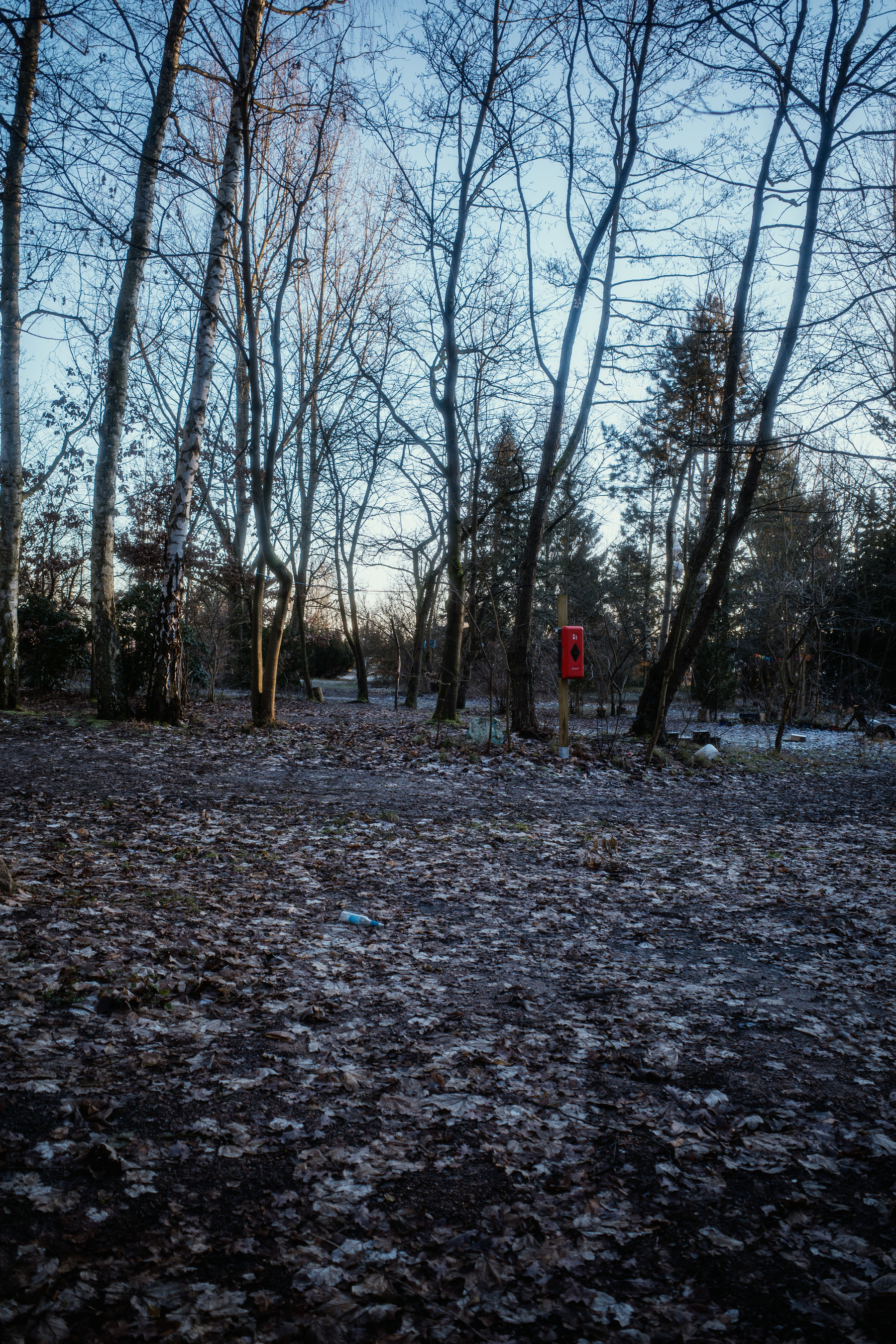 The image depicts a forested area with bare trees on a cold, leaf-covered ground, featuring a bright red emergency box mounted on a post amidst the natural surroundings.