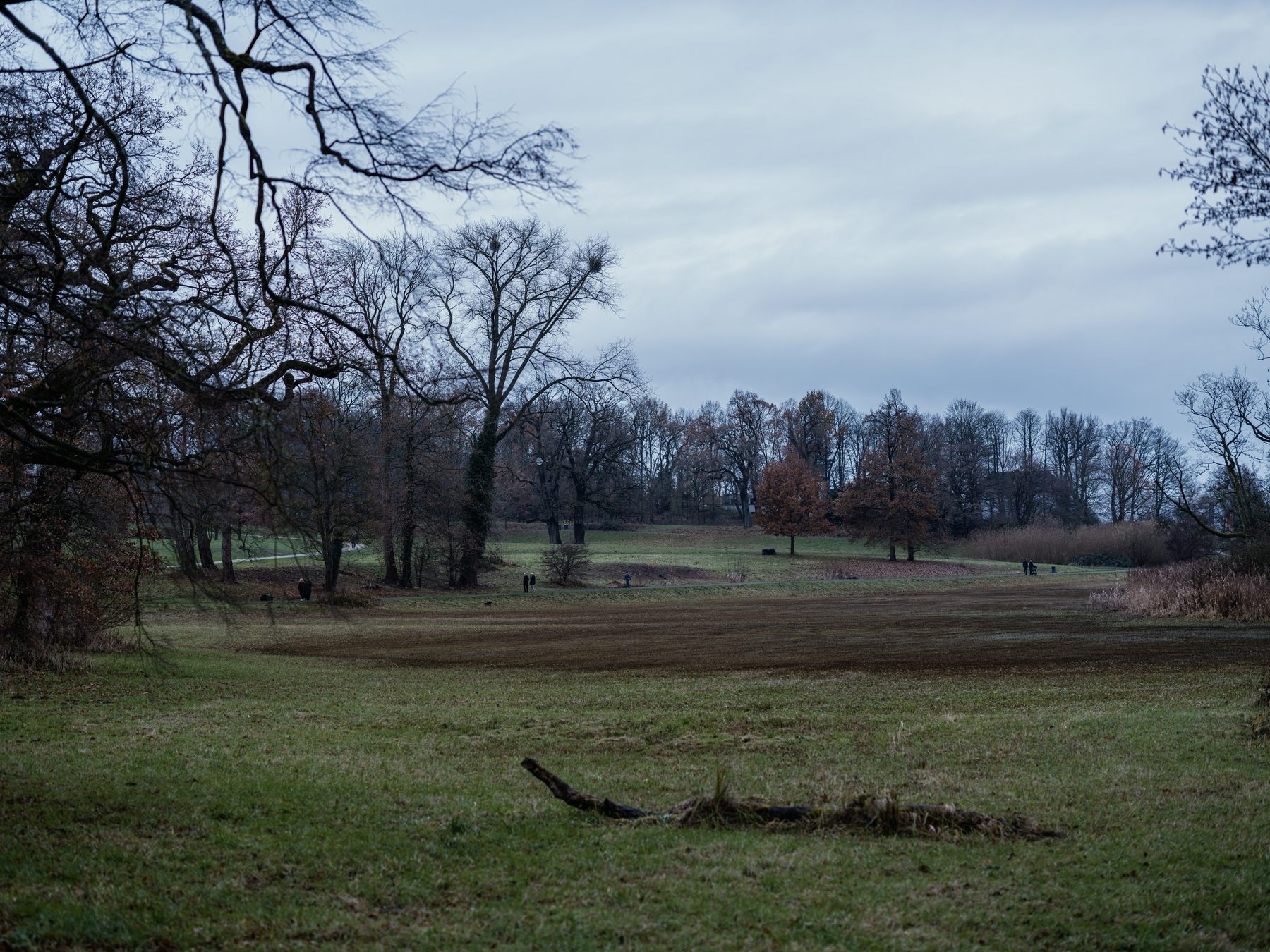 A wide, overcast landscape shows a quiet, wintry park with bare trees, muted grass, and a few distant figures walking across the open field.
