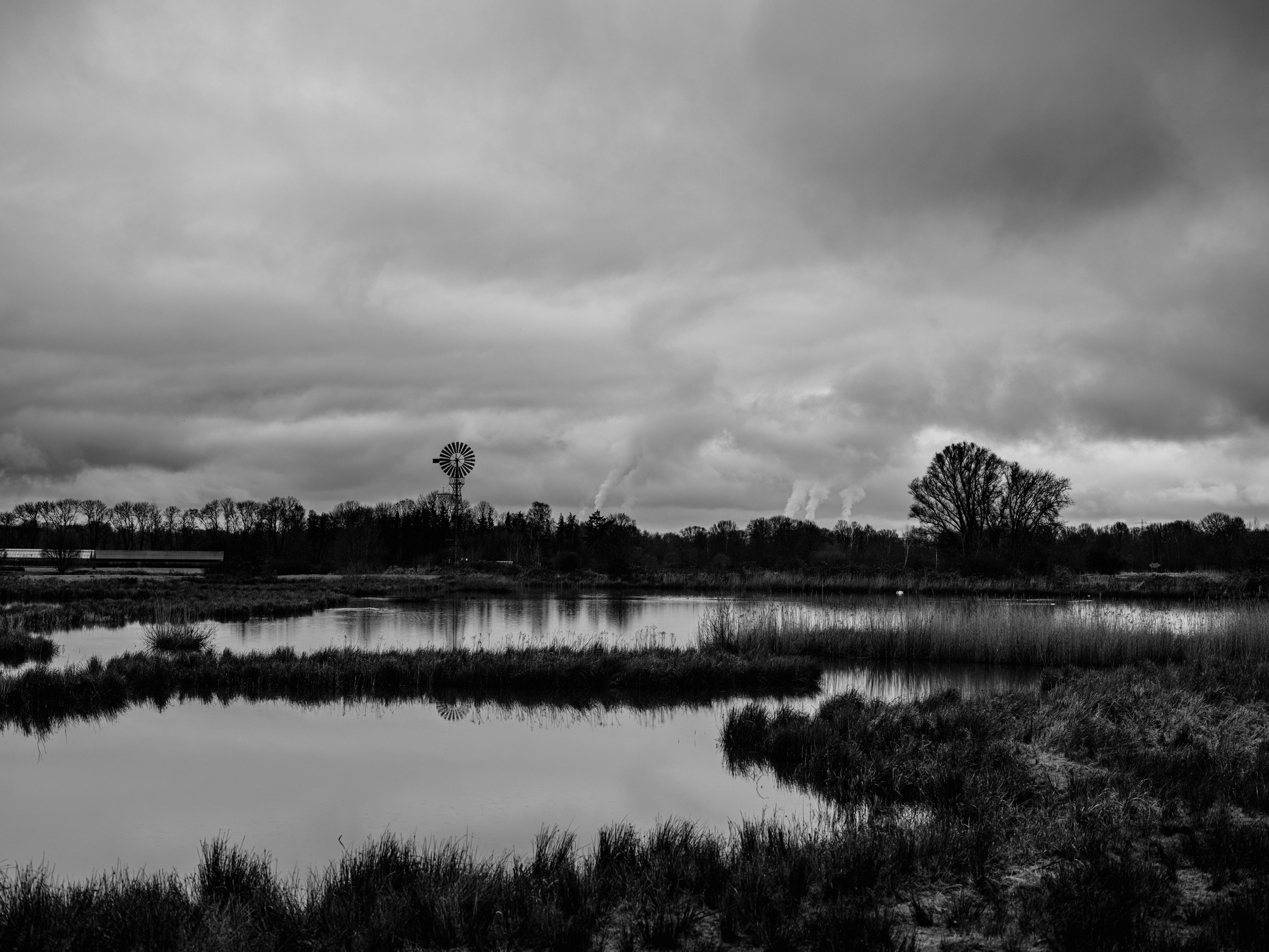 The image depicts a black-and-white landscape with a marshy wetland in the foreground, silhouetted trees and a windmill in the background, under a dramatic, cloudy sky.