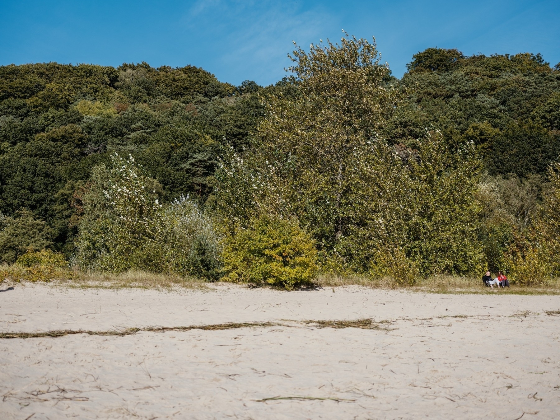 A sandy beach stretches in the foreground with dense green trees in the background, while two people sit and relax near the tree line on the right side.