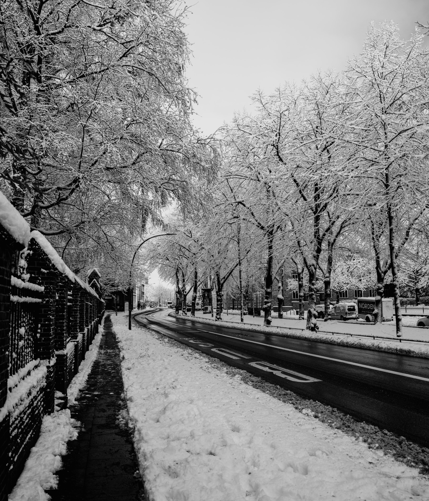 A quiet, snow-covered city street curves into the distance, lined with bare trees heavily dusted with snow and bordered by a cleared sidewalk and wet roadway.