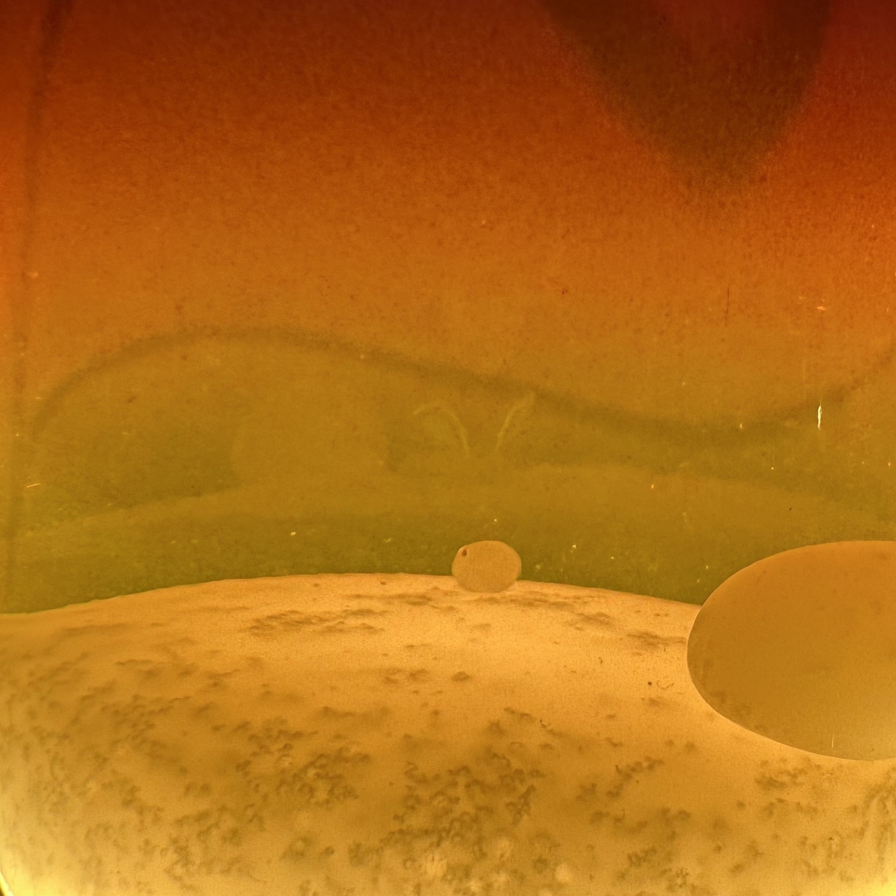 A mysterious and abstract scene features a sandy landscape with a shaft of light casting unique shapes.&10;(Really a close up shot of a lava lamp.)