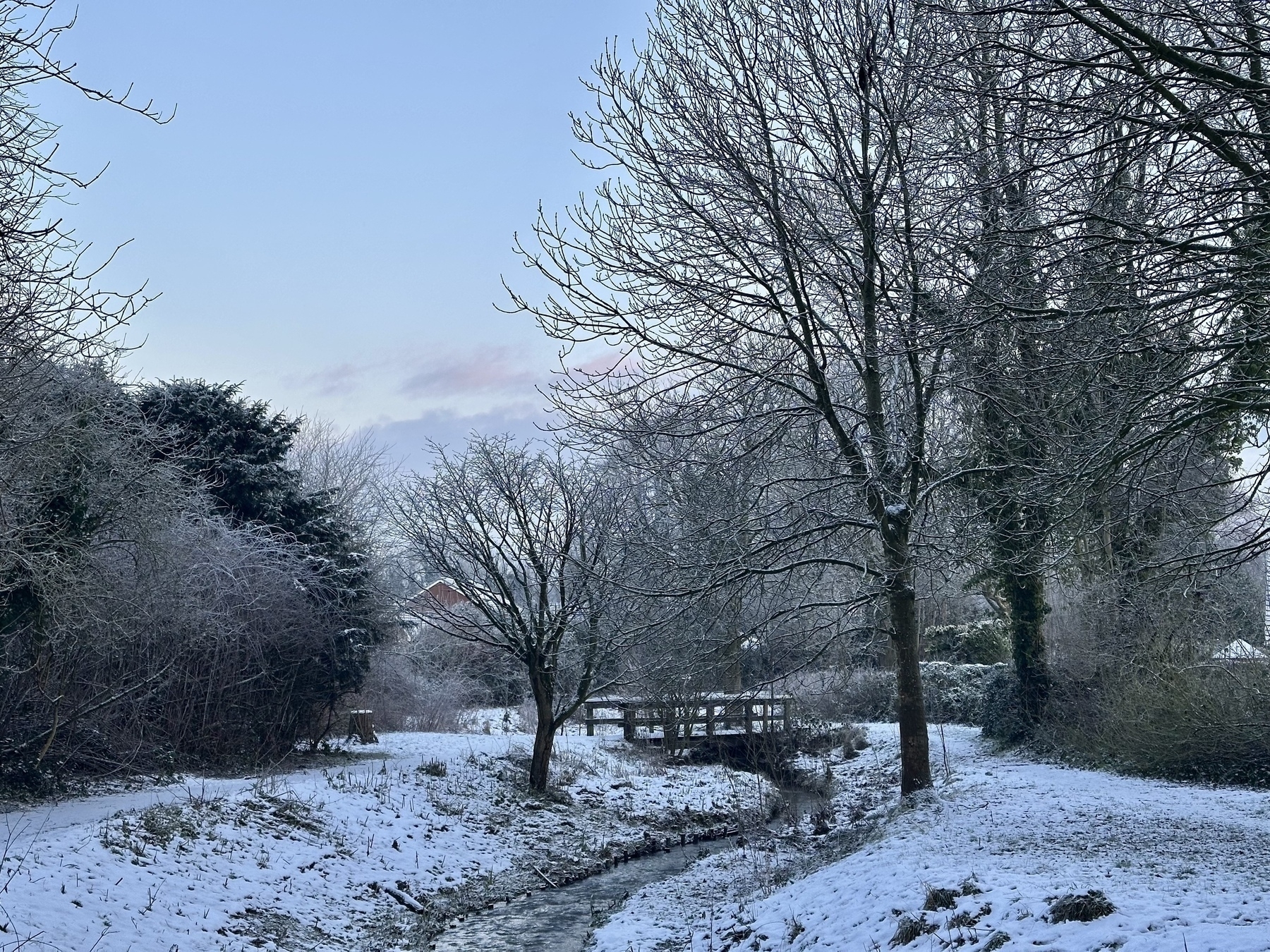 A snowy landscape features a small brook, and bare trees, under a pale winter sky.