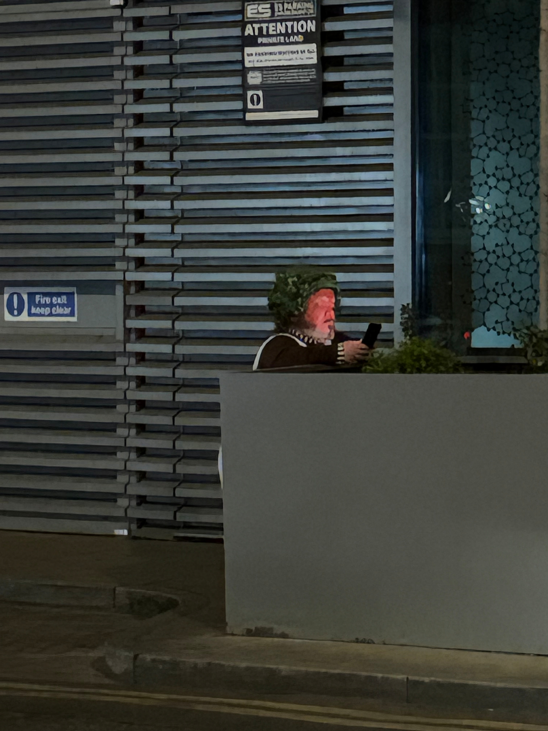 A person wearing a green leafy wig is standing behind a gray barrier, looking at their phone, with a building and warning signs in the background.