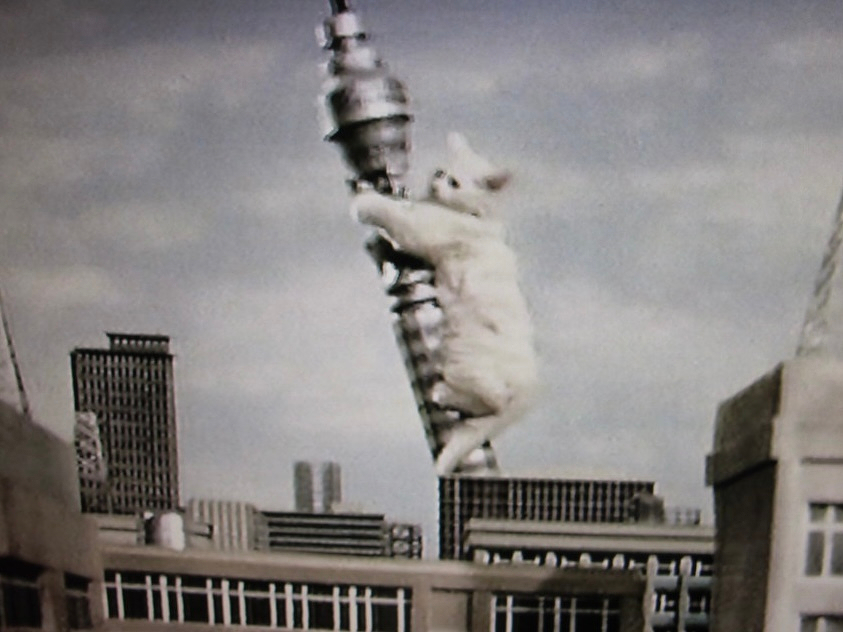 Kitten Kong is climbing the Post Office Tower in a still from The Goodies.