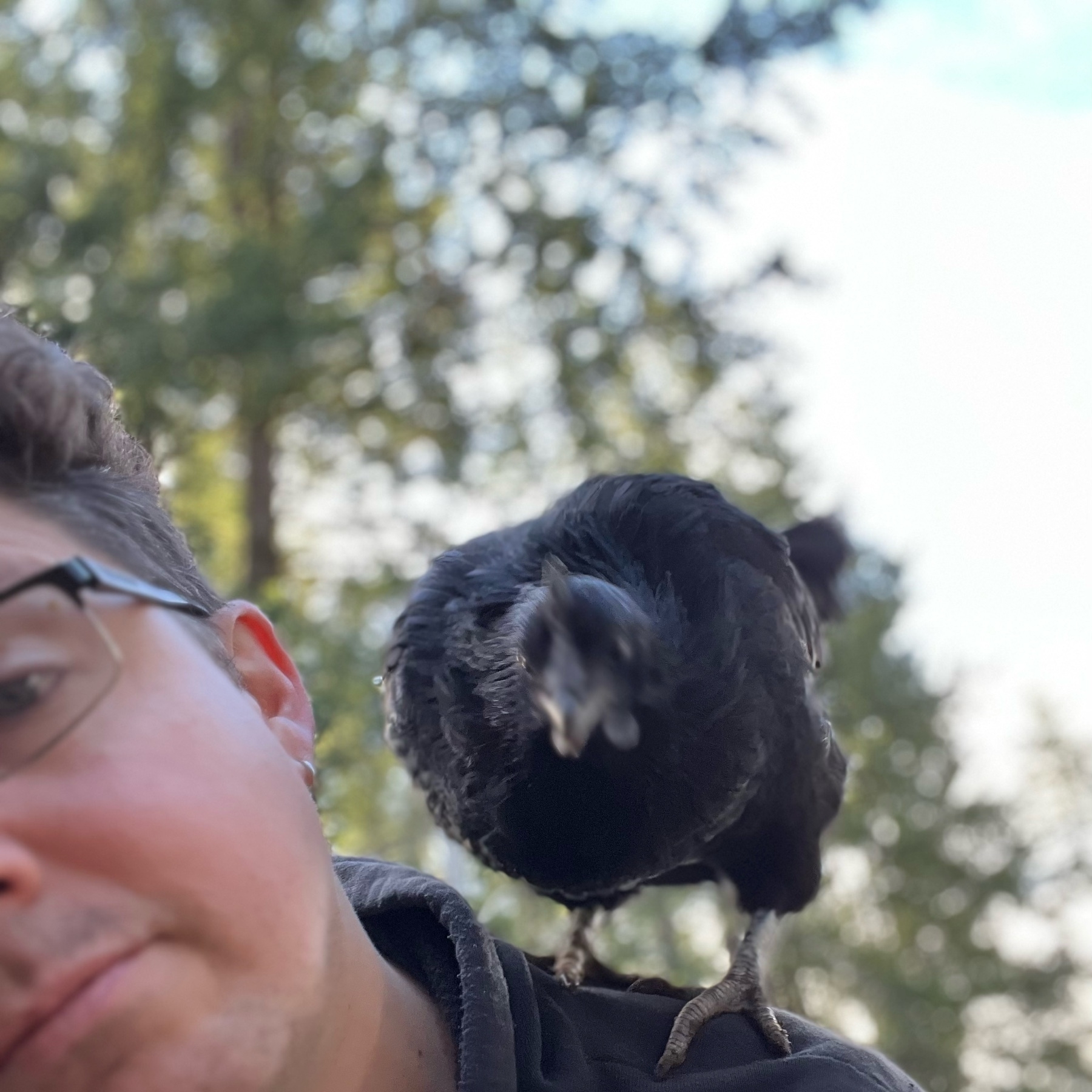 Vantablack chicken on my shoulder