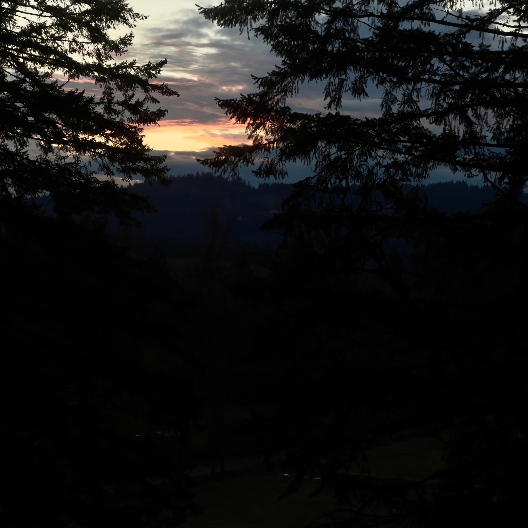 Oregon pastel colored sunset