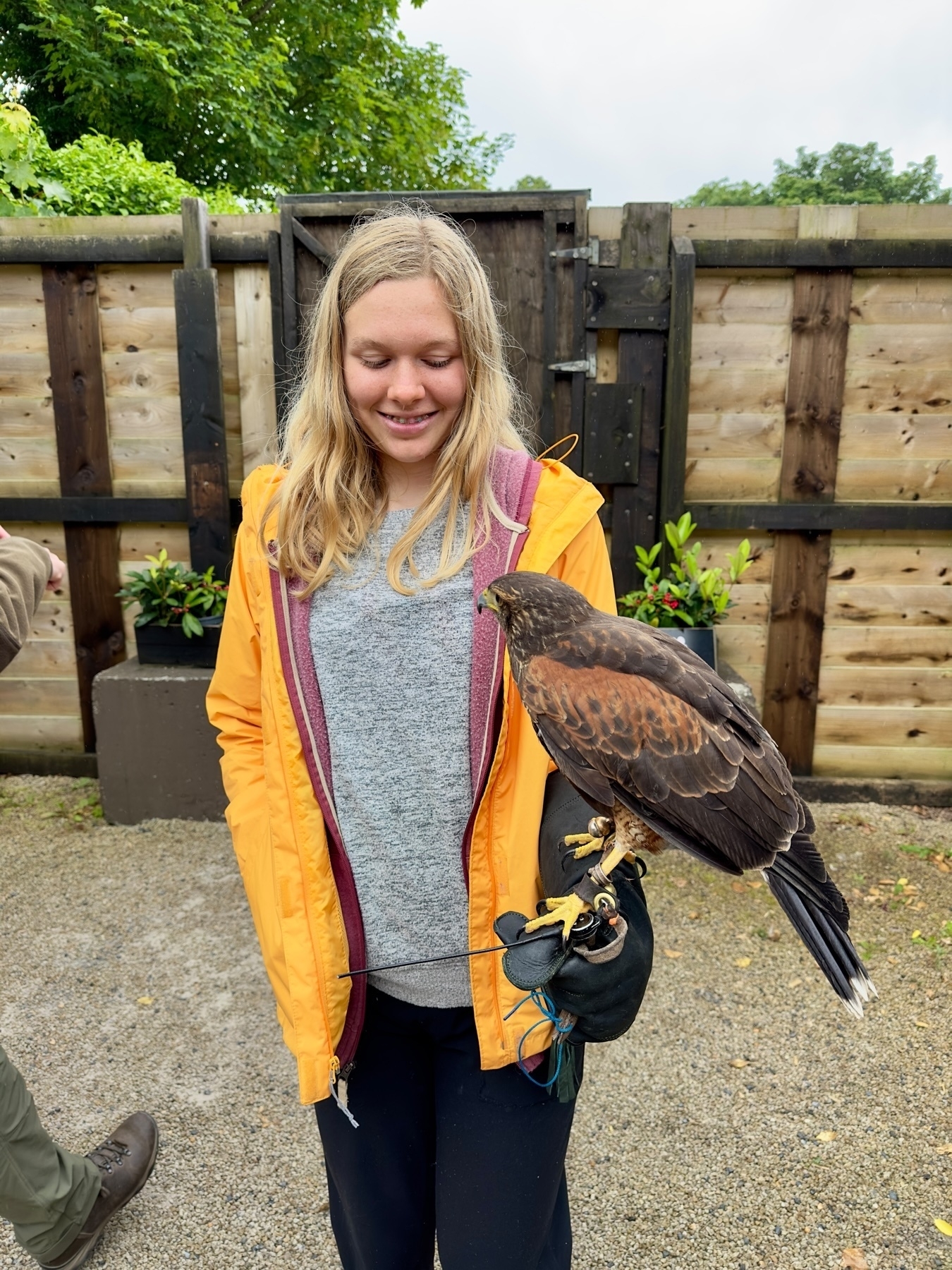 Auto-generated description: A girl wearing a yellow jacket is holding a bird of prey on her gloved hand in an outdoor setting.