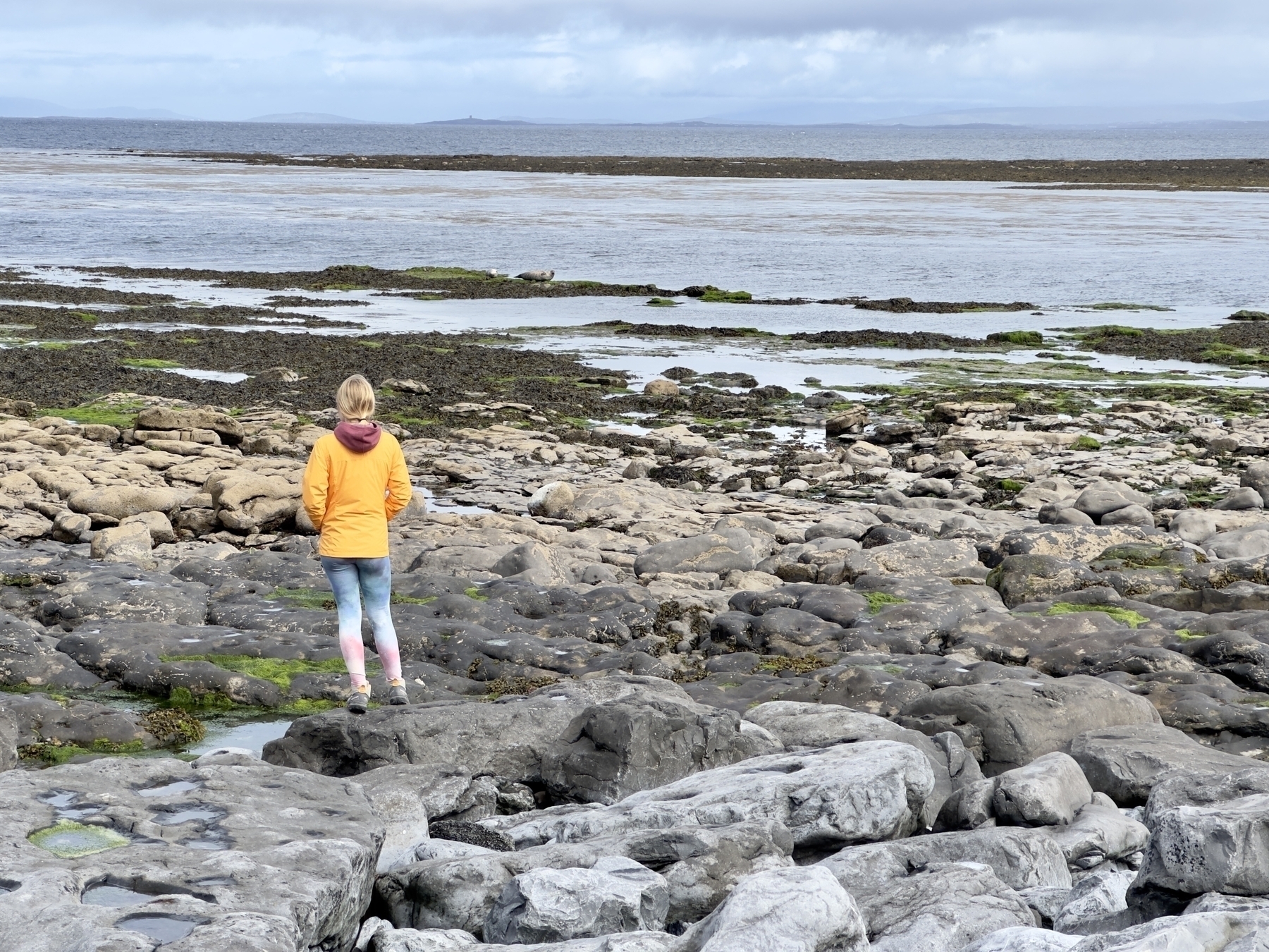 Auto-generated description: A person in a yellow jacket stands on a rocky shoreline, looking out at the expansive sea under a cloudy sky.