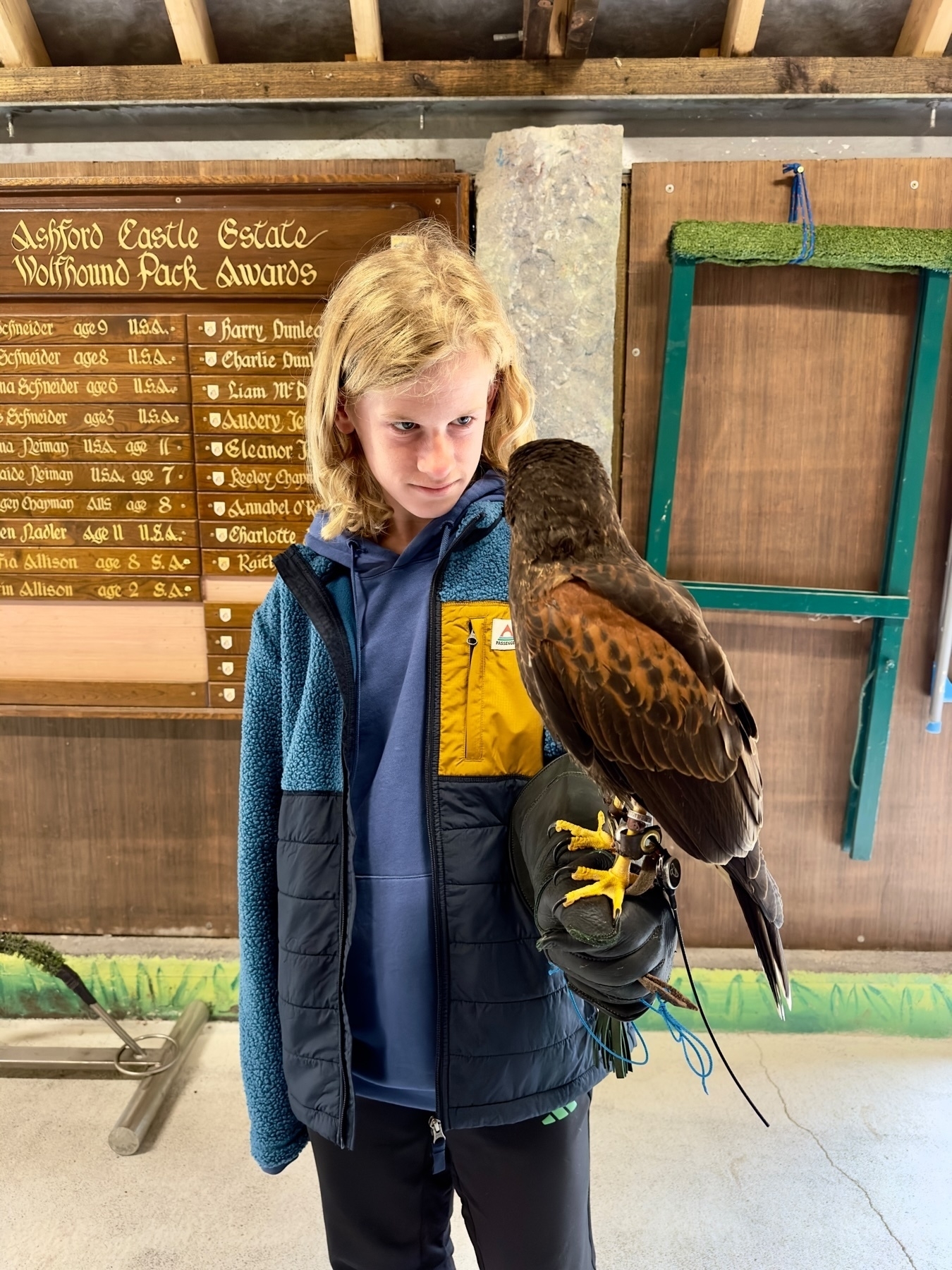 Auto-generated description: A person with blonde hair is holding a bird of prey on their gloved hand inside a room with a wooden plaque listing names in the background.