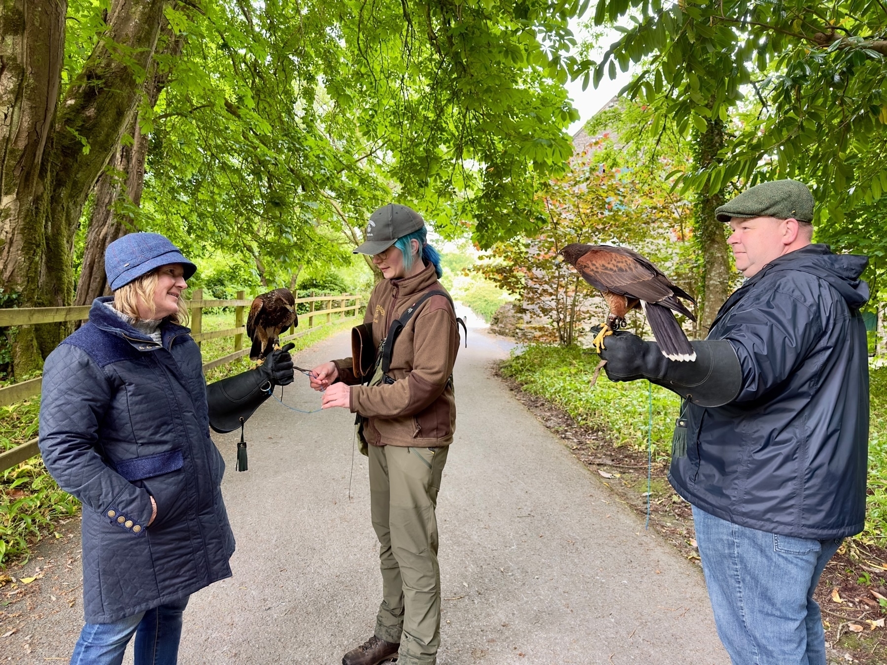 Auto-generated description: People are standing on a path surrounded by trees, interacting with birds of prey while wearing protective gloves.