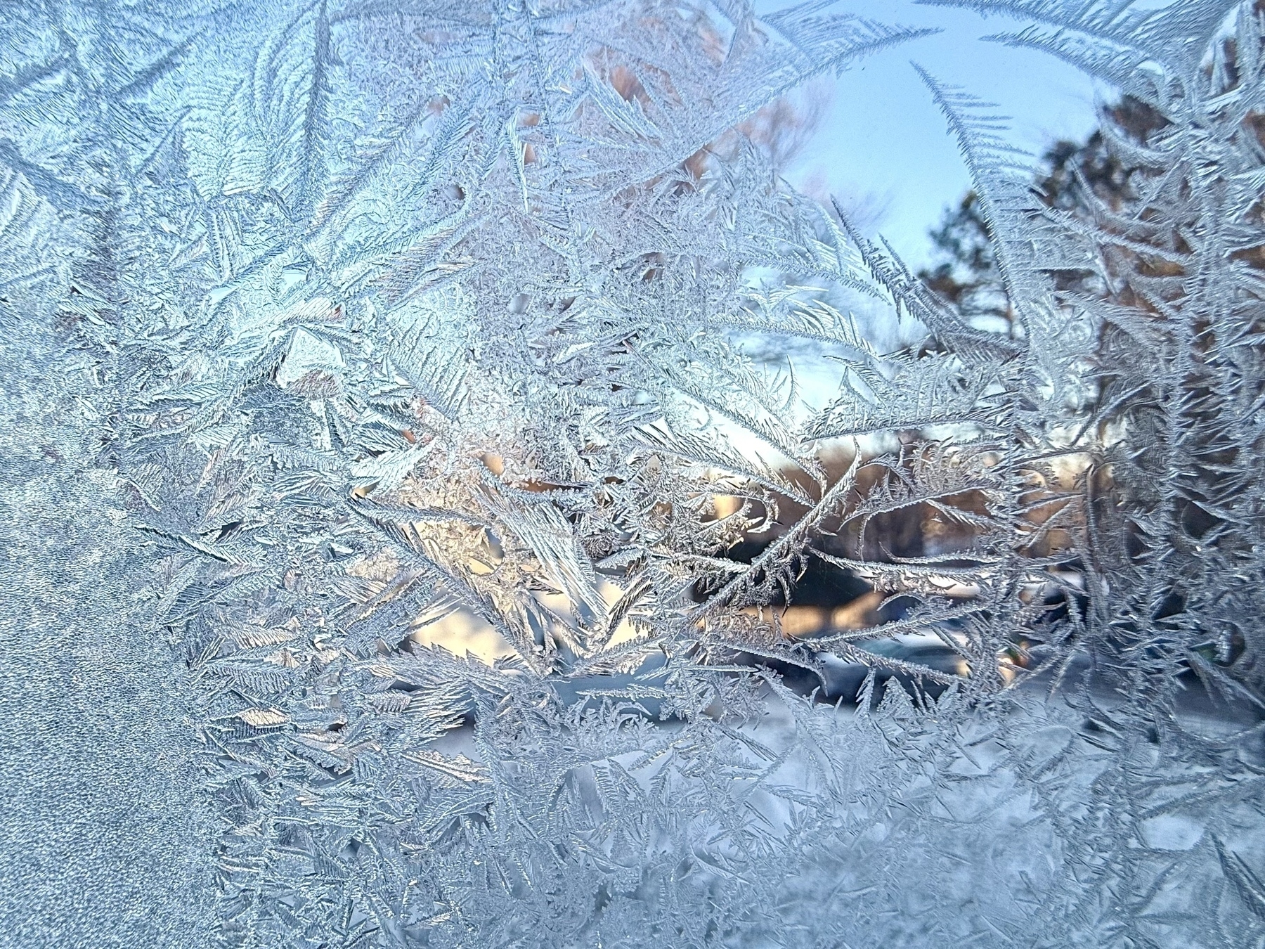 Auto-generated description: Delicate frost patterns intricately cover a window with a wintry scene visible in the background.