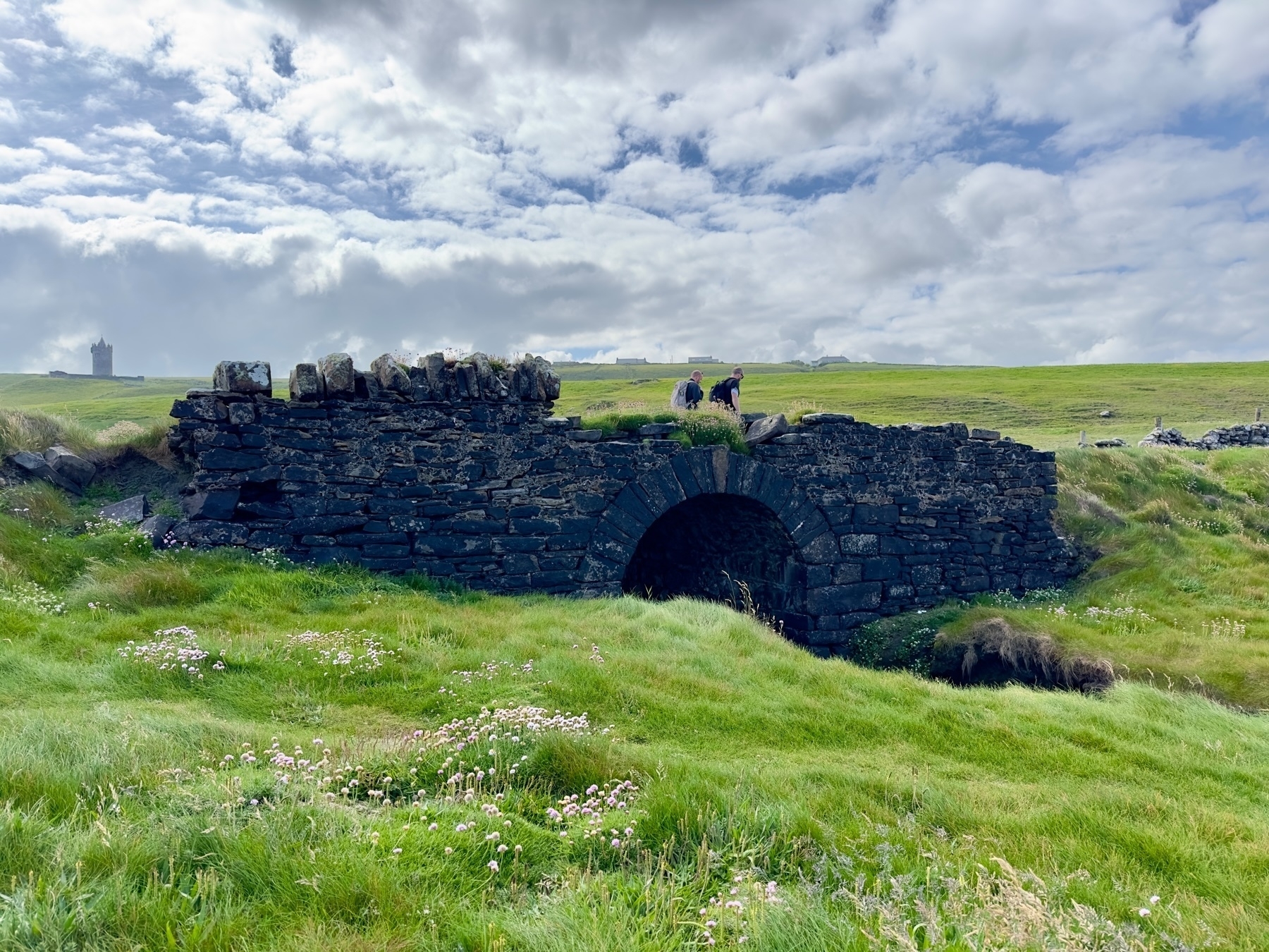 Auto-generated description: A stone bridge is surrounded by lush green grass and wildflowers under a partly cloudy sky, with a few people standing on it.