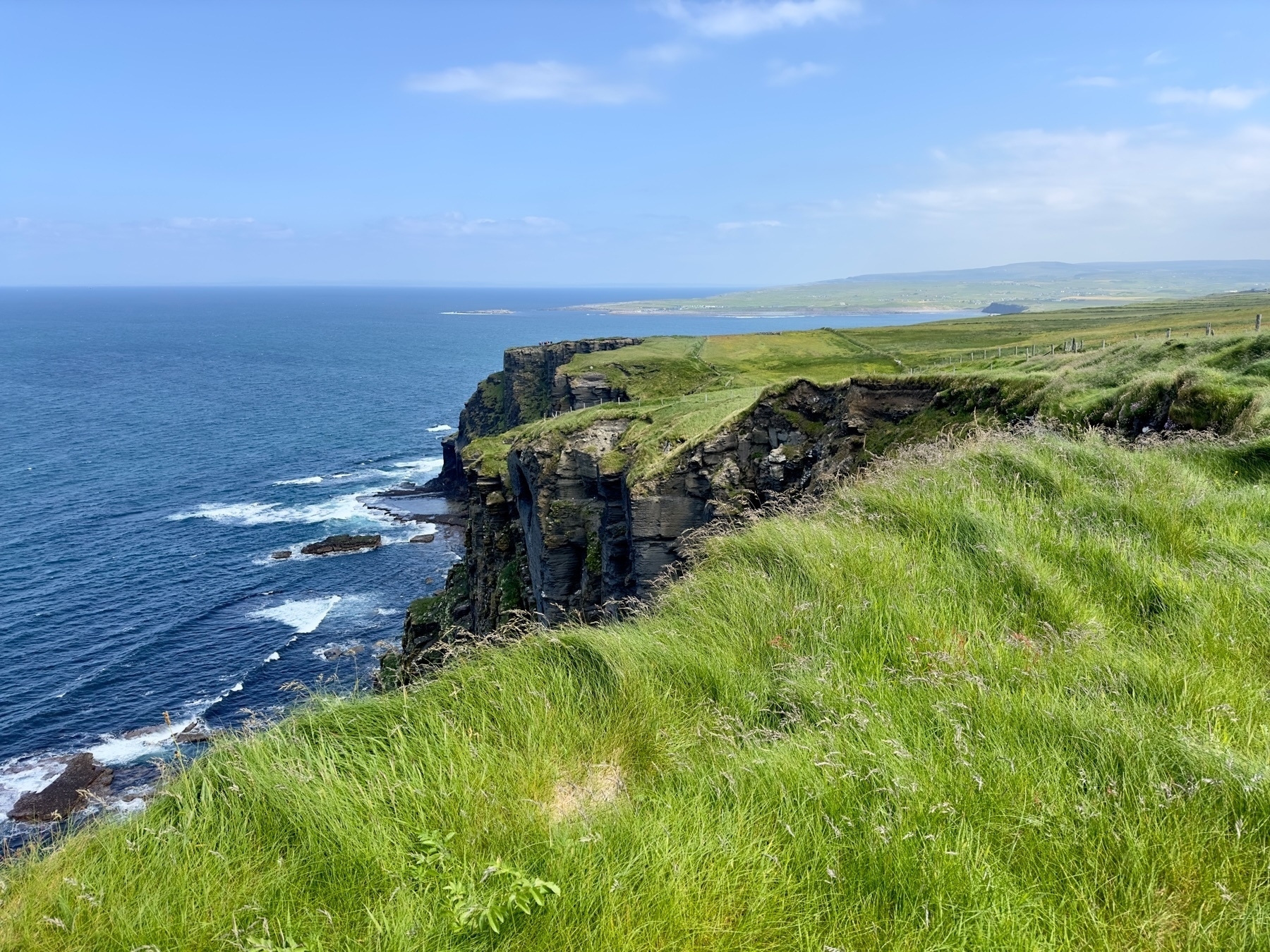 Auto-generated description: A coastal cliff with lush green grass overlooks a vast blue ocean under a clear sky.