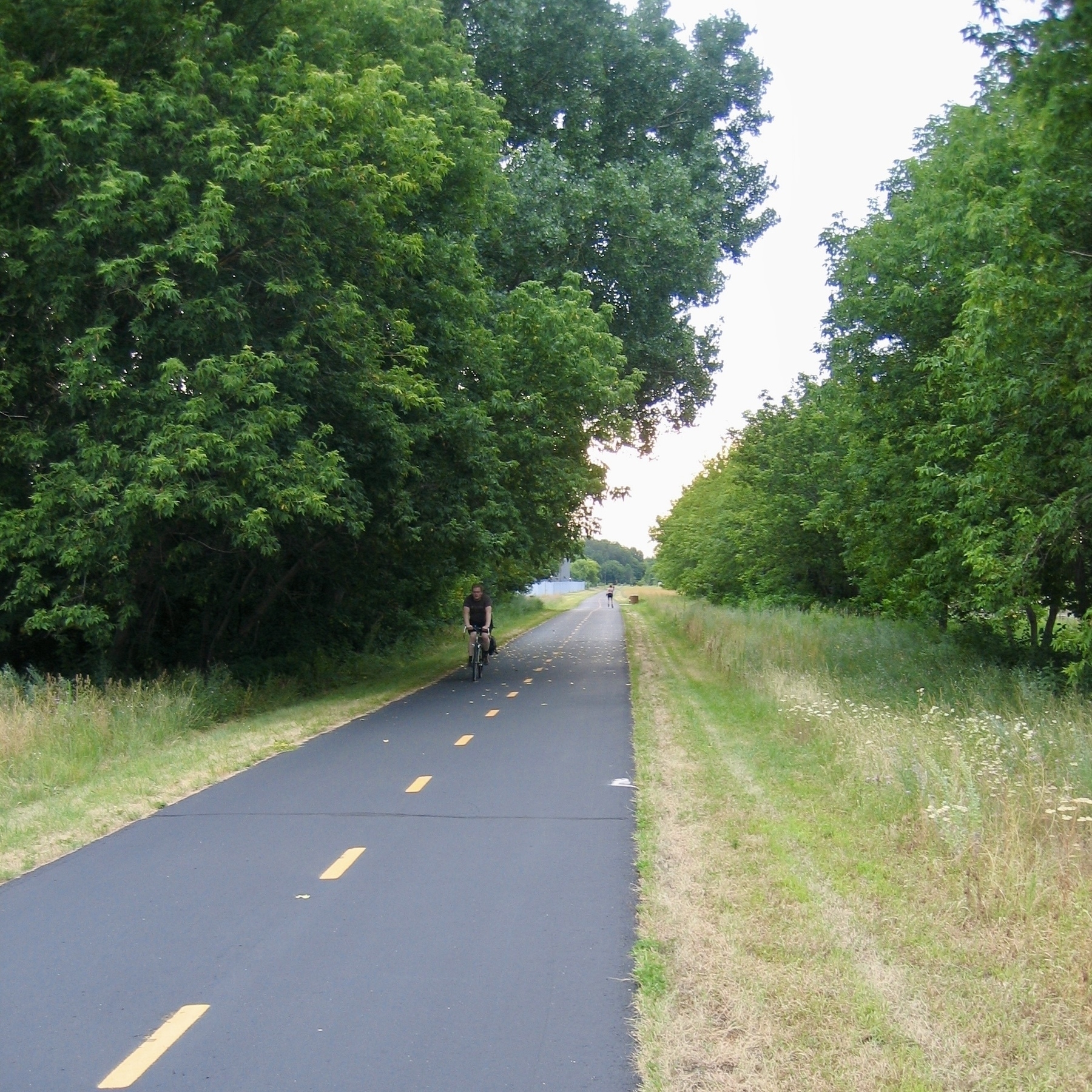 Auto-generated description: A person is biking down a paved path surrounded by lush green trees and grass.