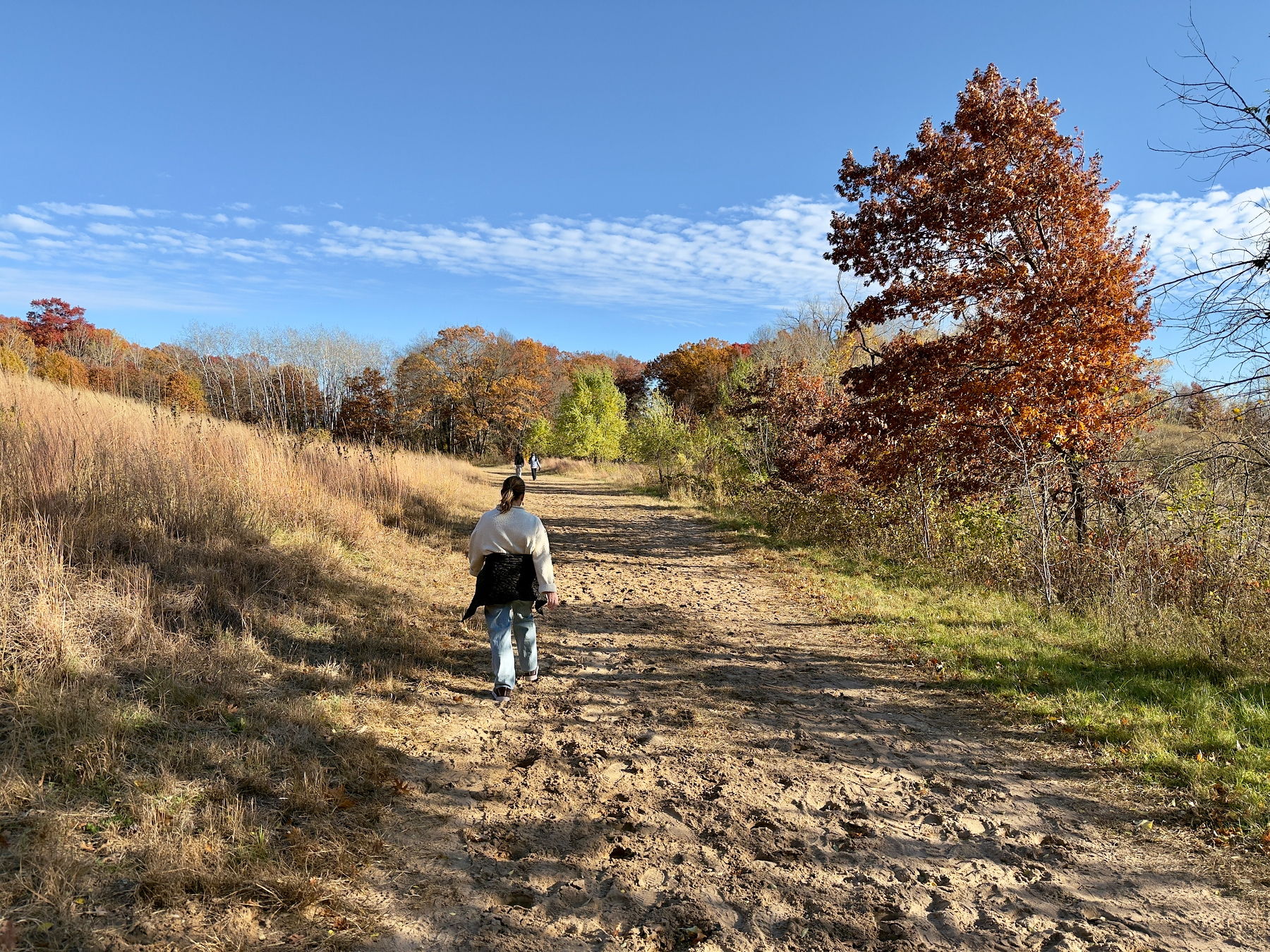A person walks down a dirt path surrounded by autumn foliage under a clear blue sky.